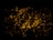 Glowing coals with a dark background create a warm, fiery effect. Randomly scattered, pieces of coal emit a bright orange-yellow hue, providing a contrast against the surrounding darkness.