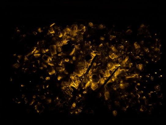 Glowing coals with a dark background create a warm, fiery effect. Randomly scattered, pieces of coal emit a bright orange-yellow hue, providing a contrast against the surrounding darkness.