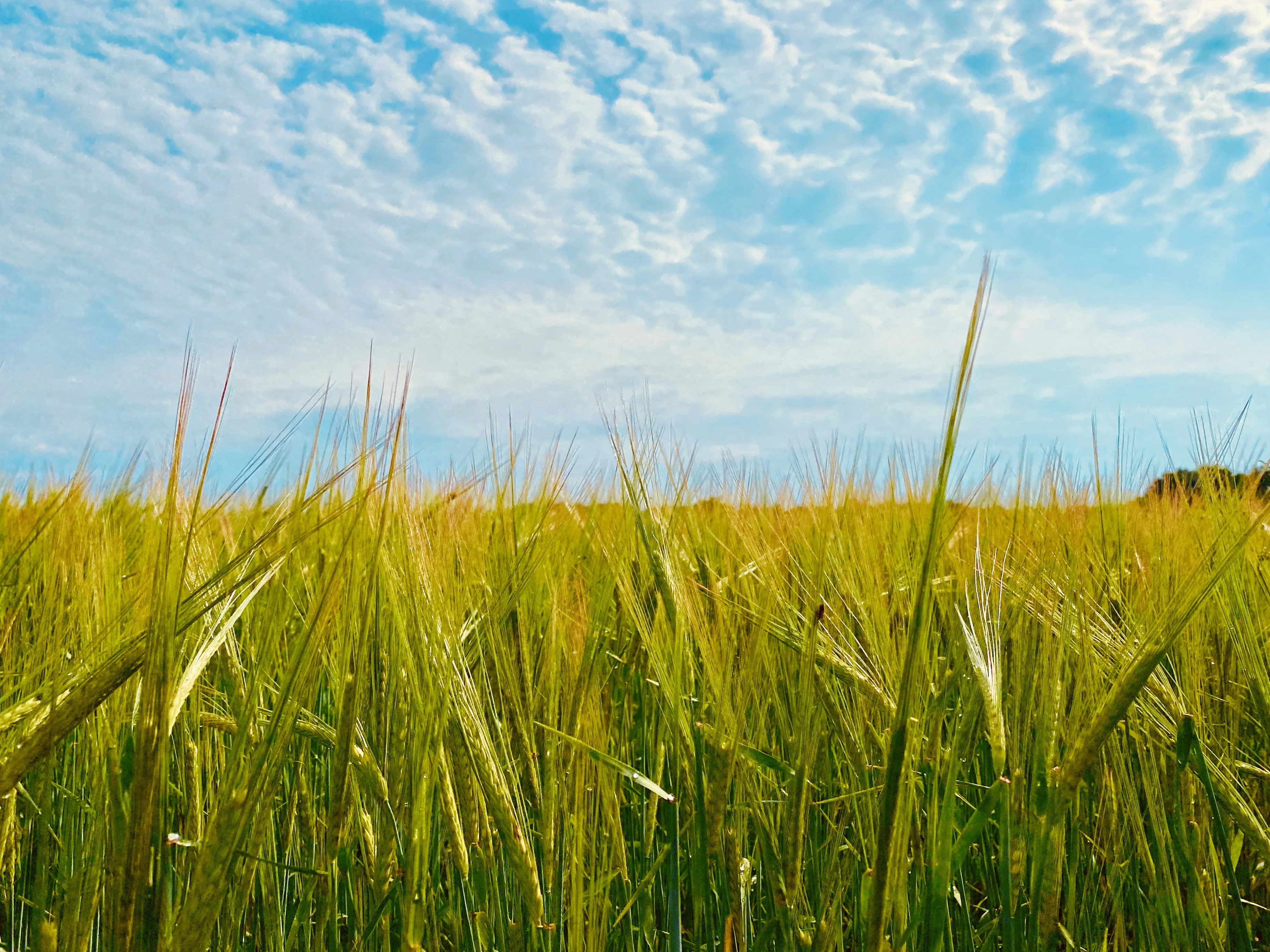 Photo by franziskaseebauer