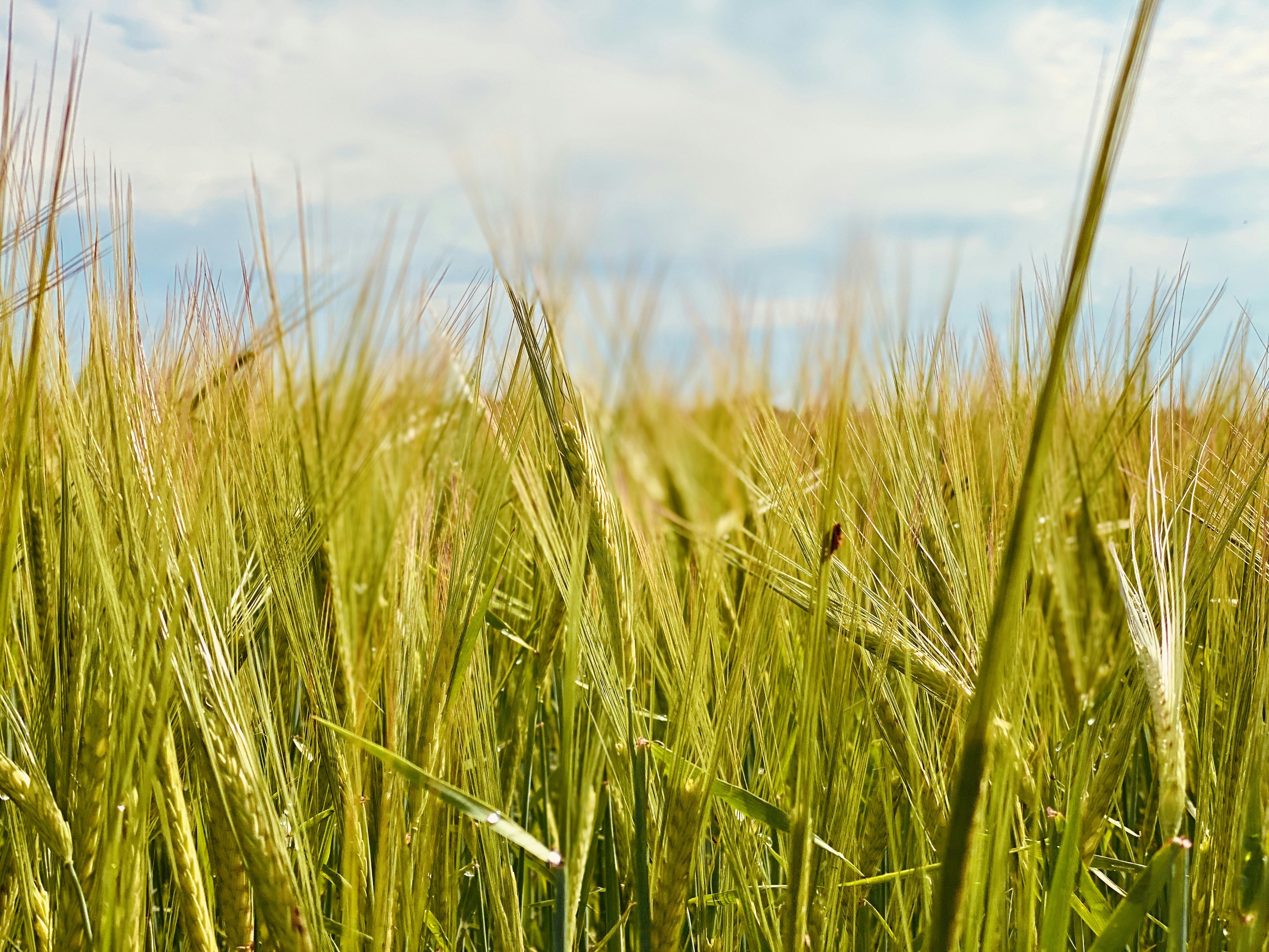 Photo by franziskaseebauer