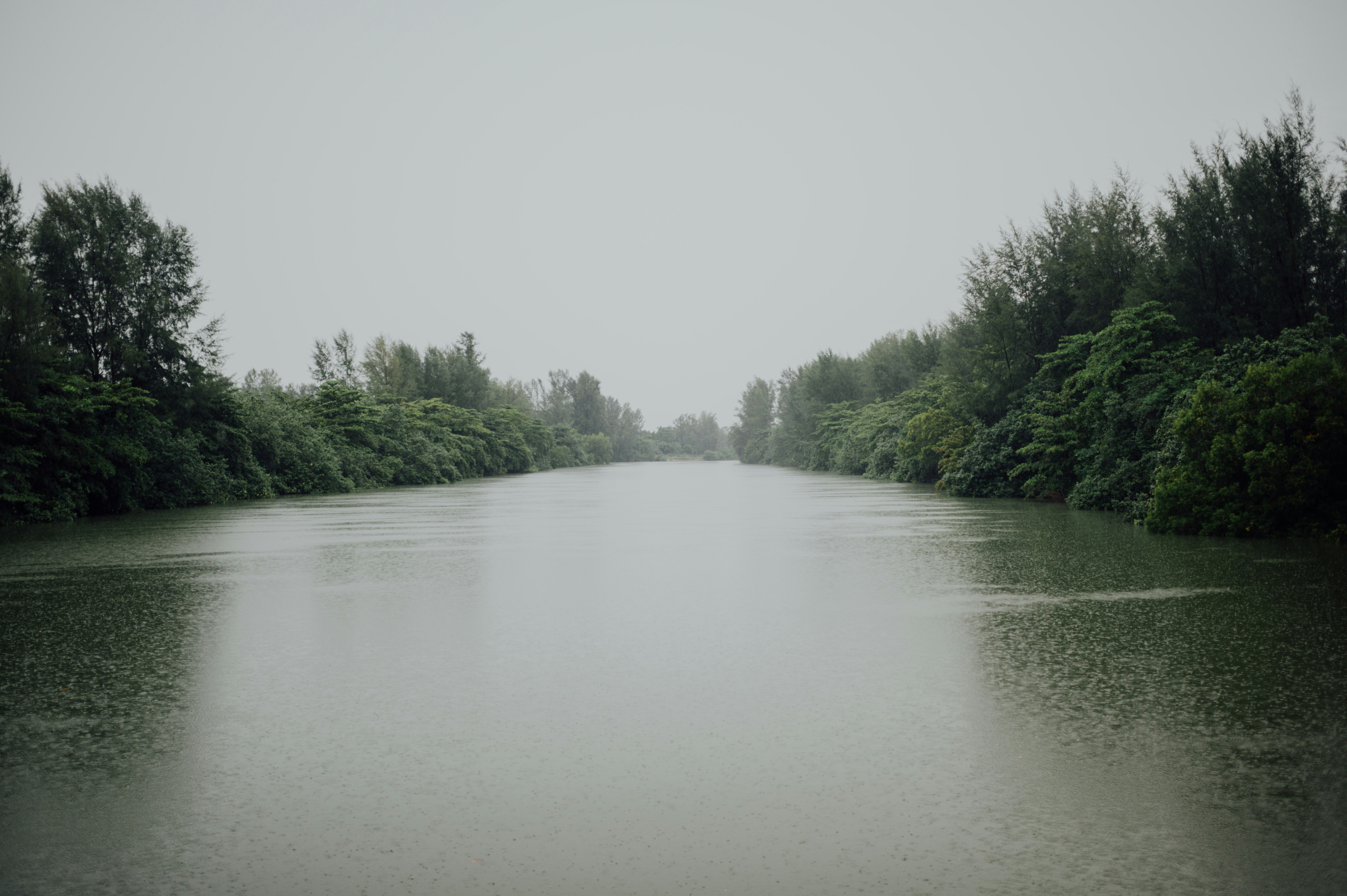 Photo by chuttersnap