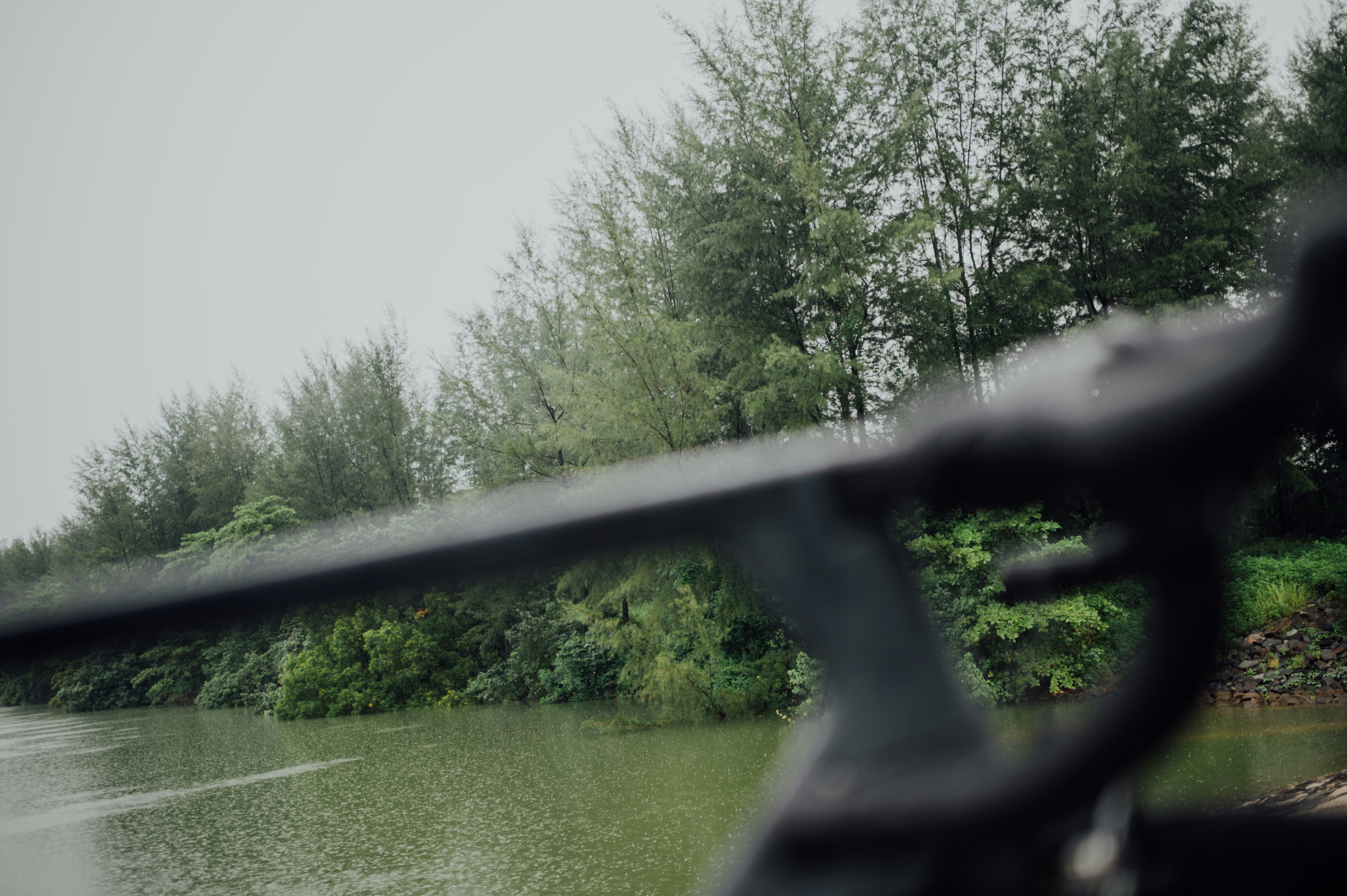 Photo by chuttersnap