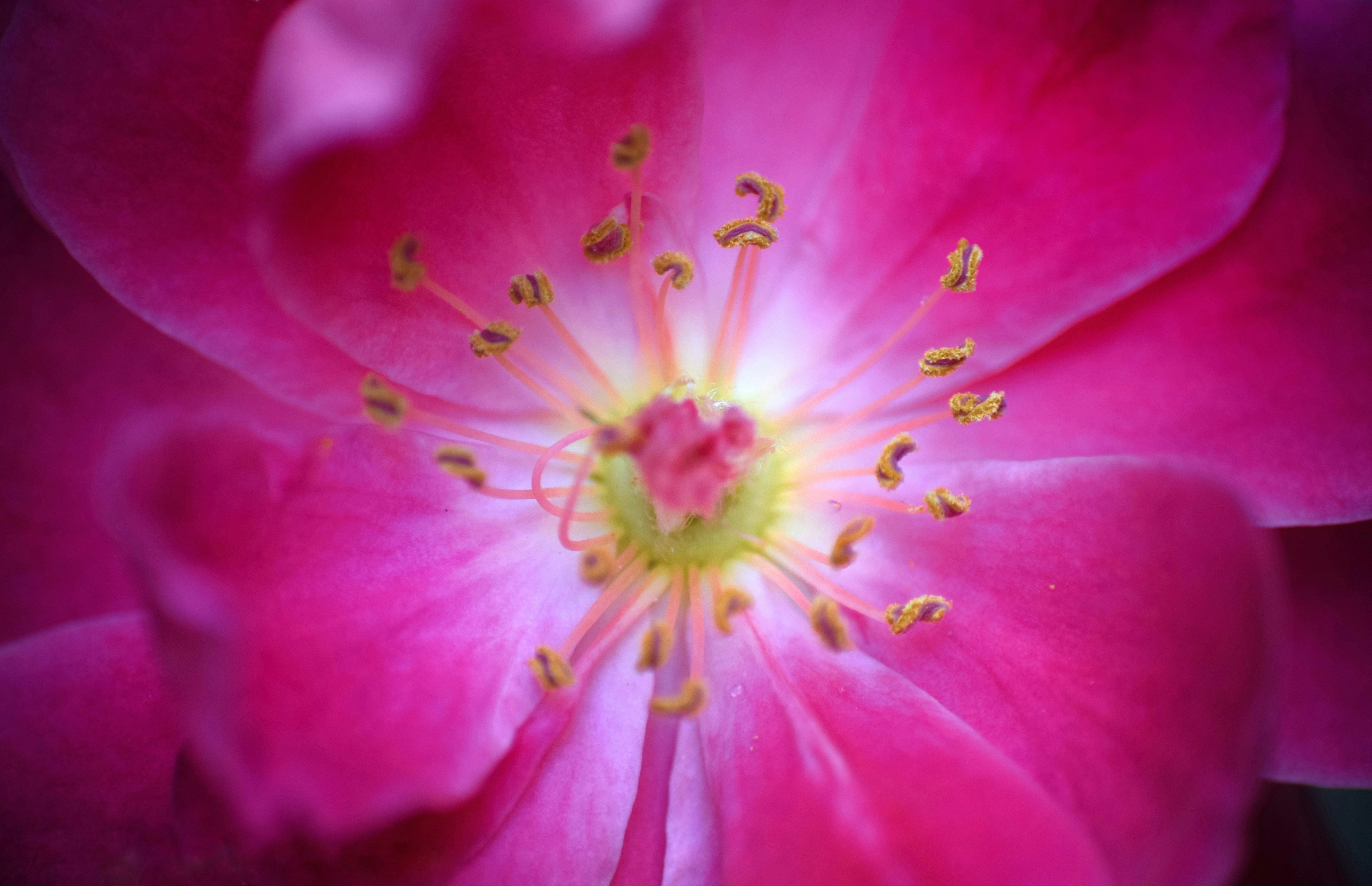 Photo by prashantsaini