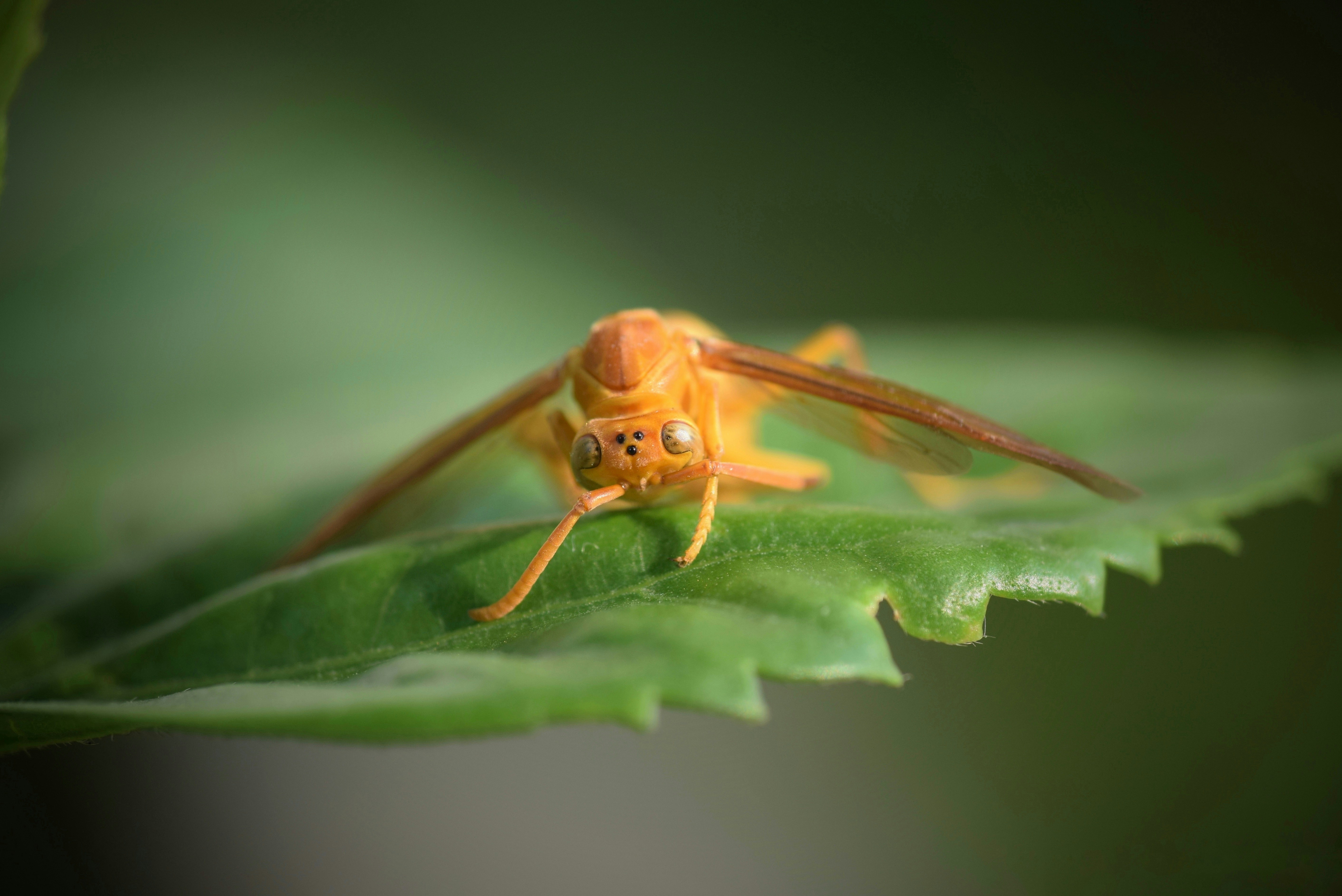 Photo by prashantsaini