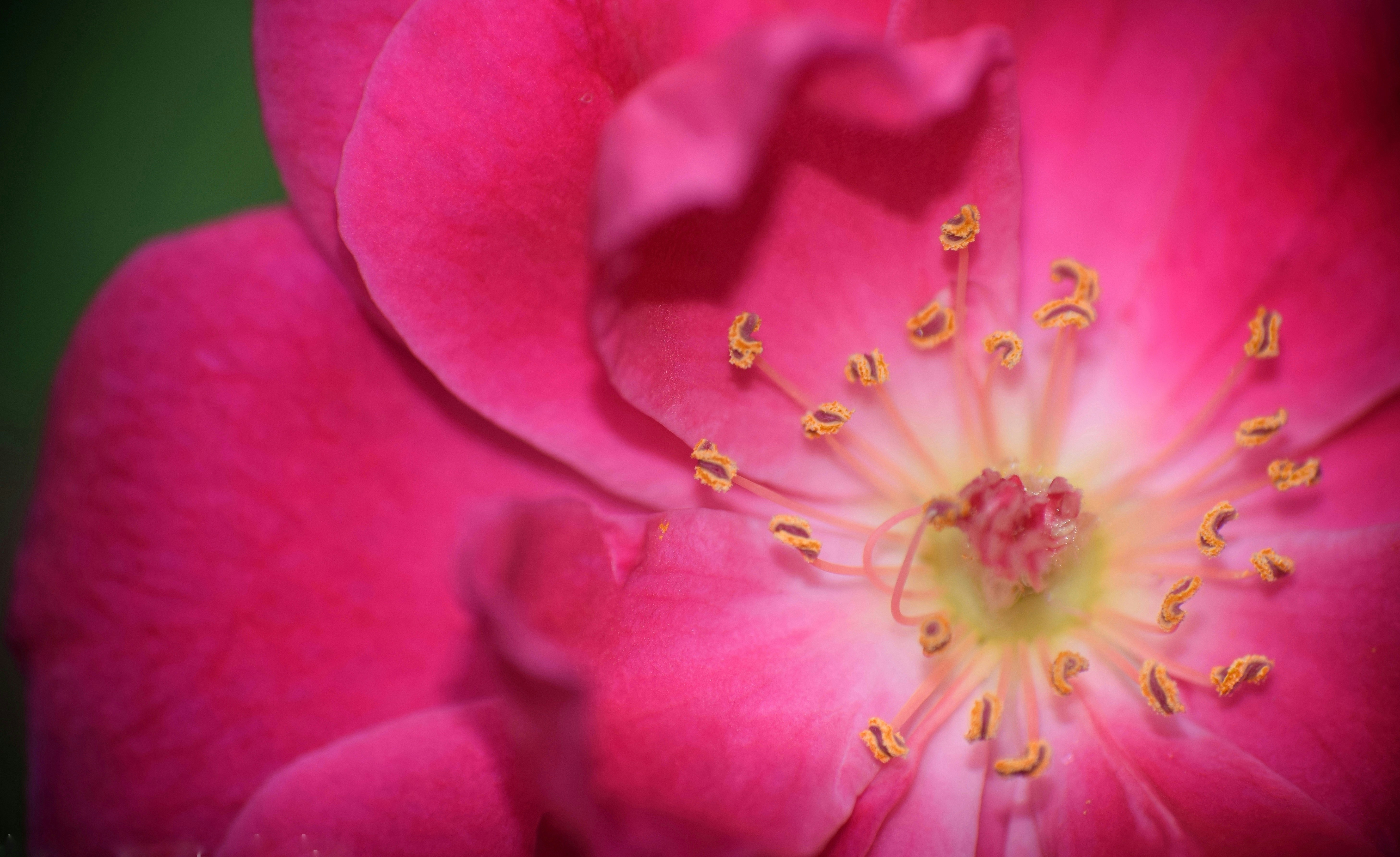 Photo by prashantsaini