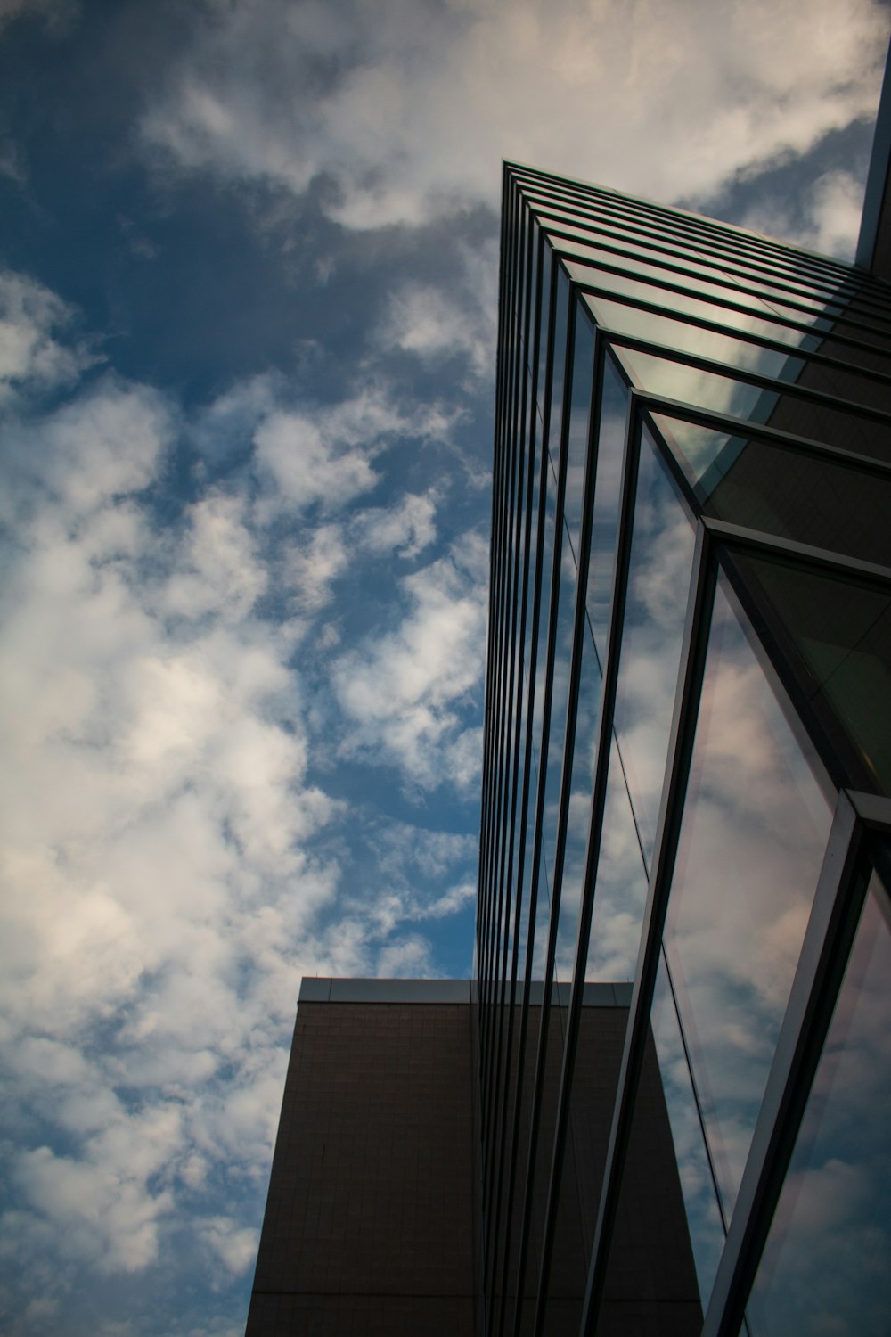 low angle photography of high rise building under blue sky during daytime