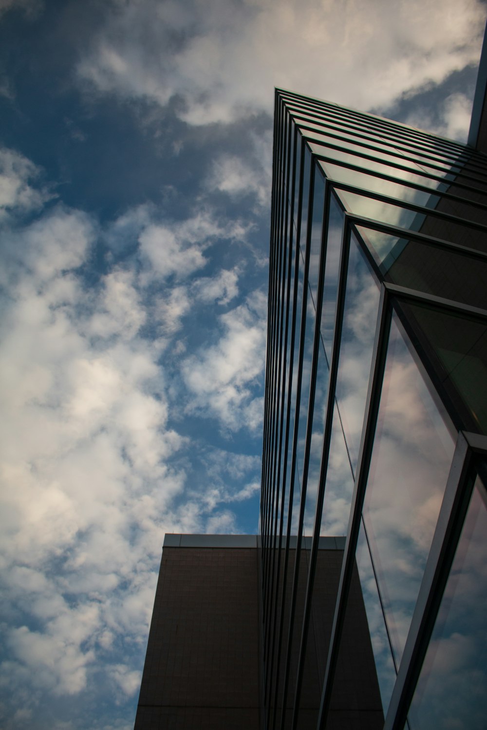 낮 동안 푸른 하늘 아래 고층 건물의 낮은 각도 사진