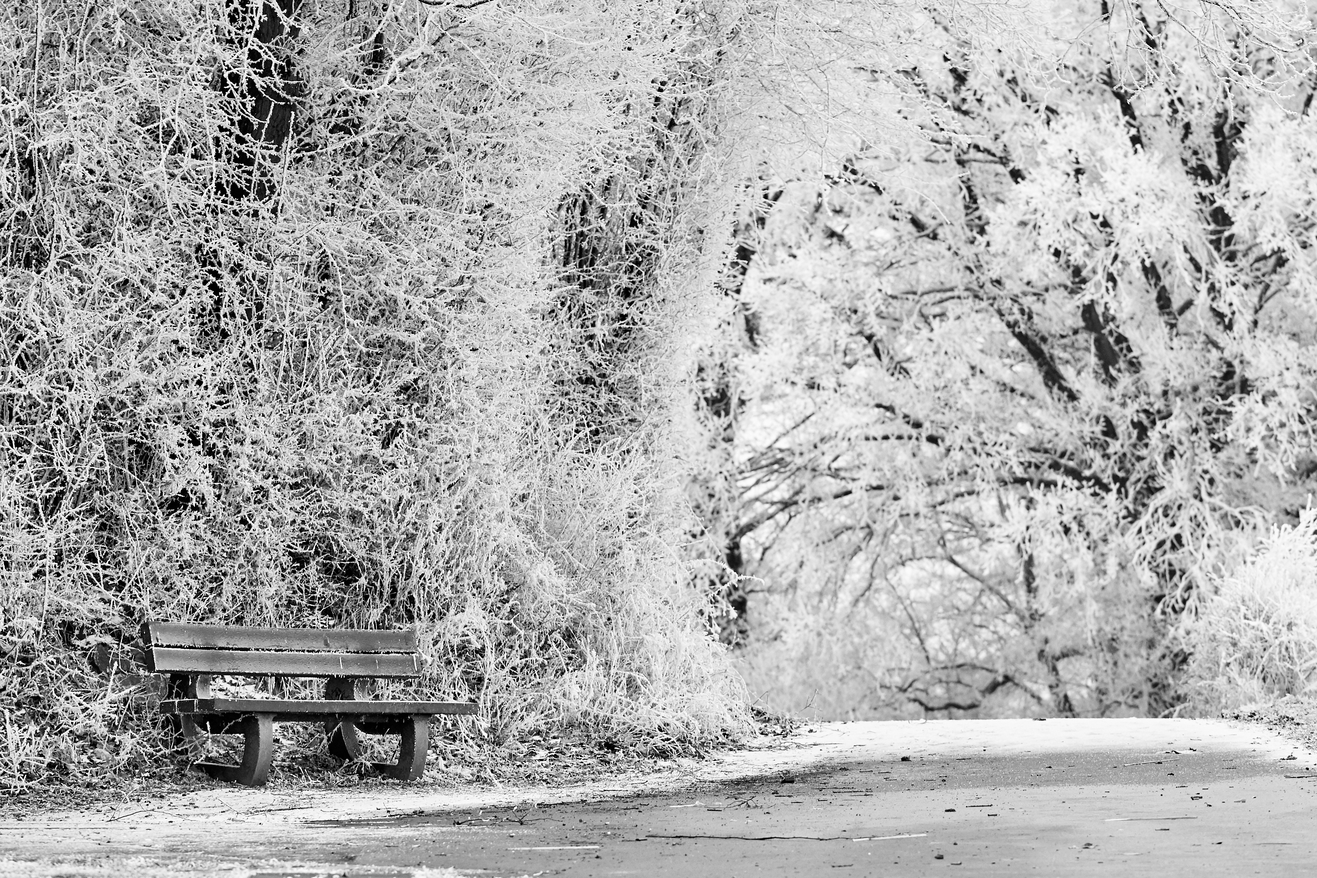 Photo by johnygoerend