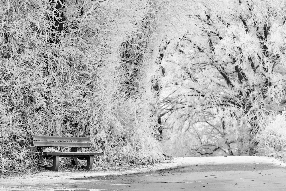 grayscale photo of bench on road