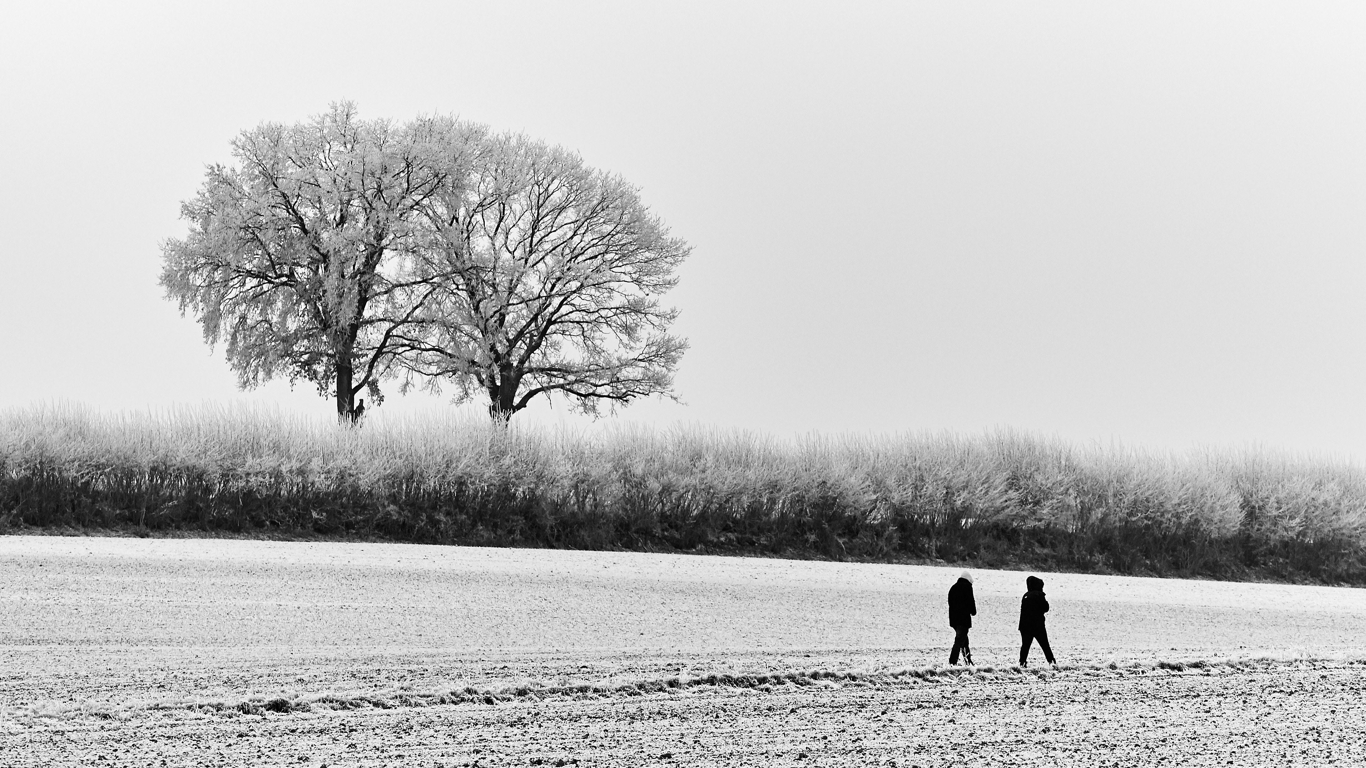 person walking on snow covered field during daytime