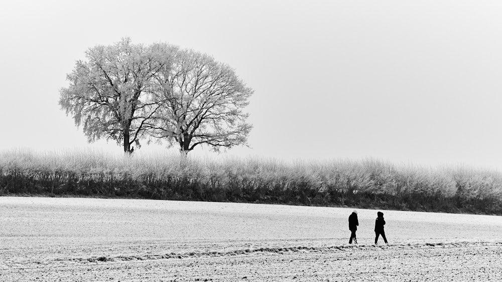 person walking on snow covered field during daytime