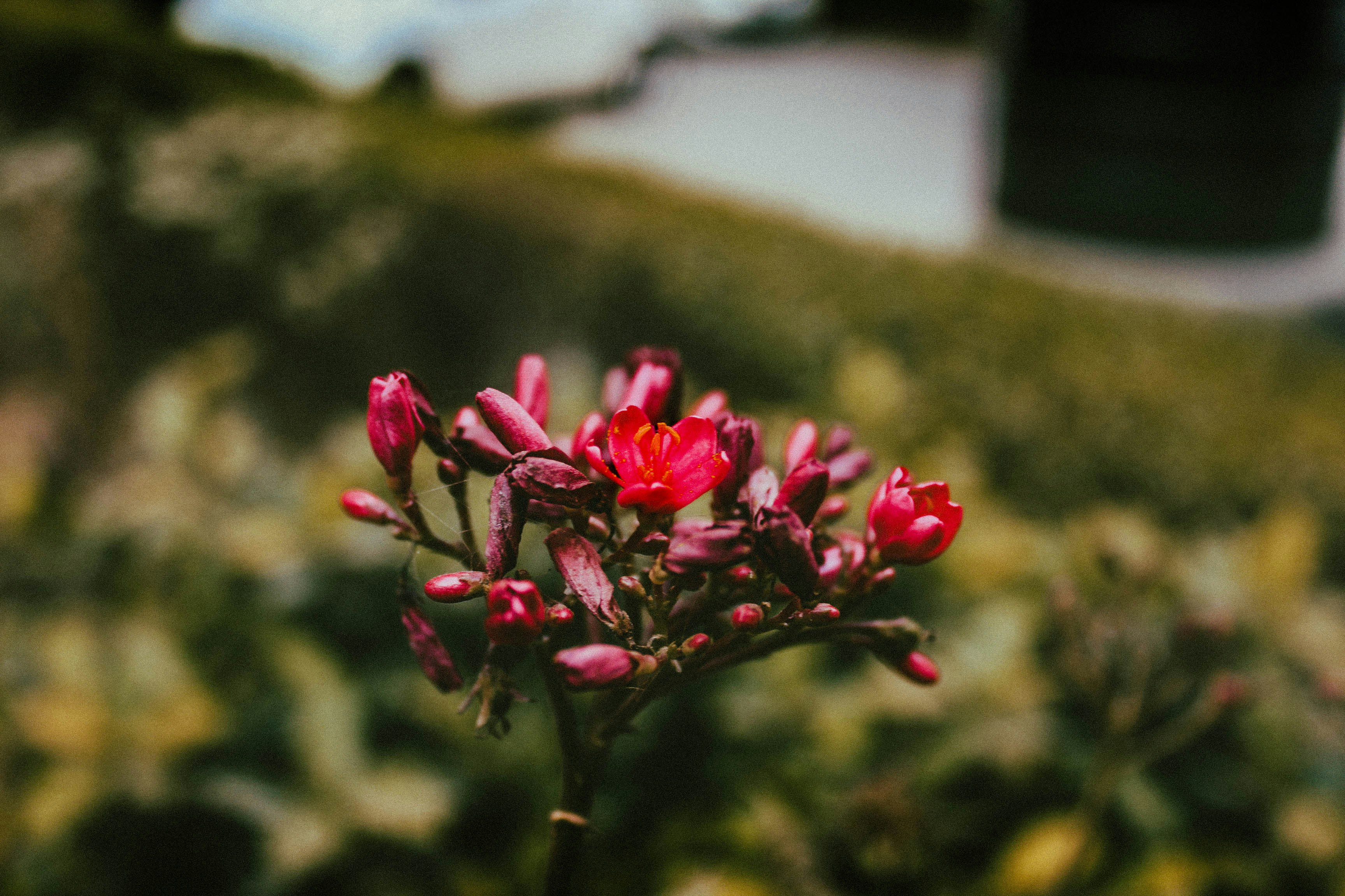 Photo by judevin