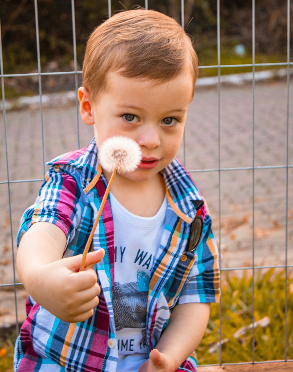 boy in blue and red stripe crew neck t-shirt holding white cotton candy during daytime