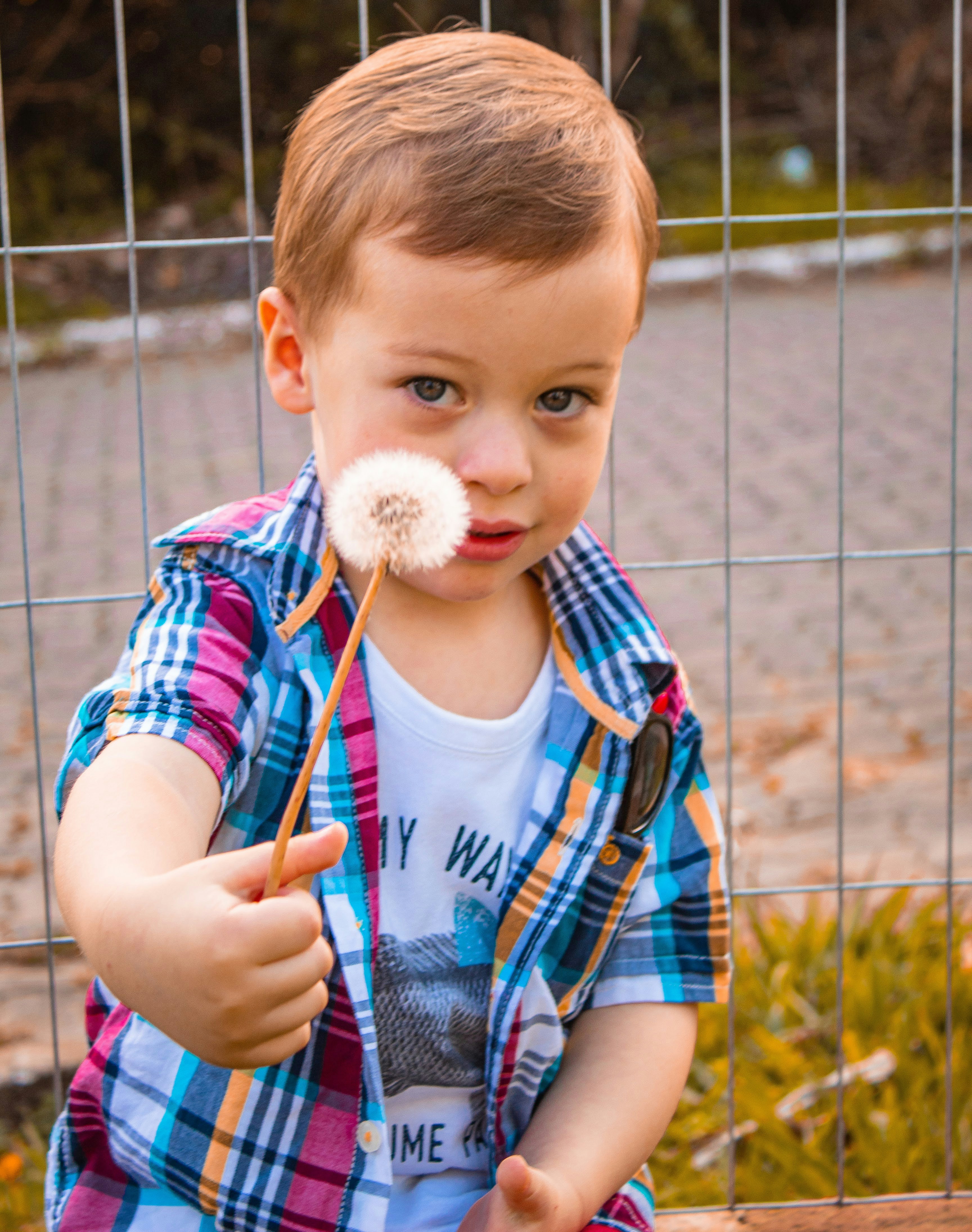 boy in blue and red stripe crew neck t-shirt holding white cotton candy during daytime