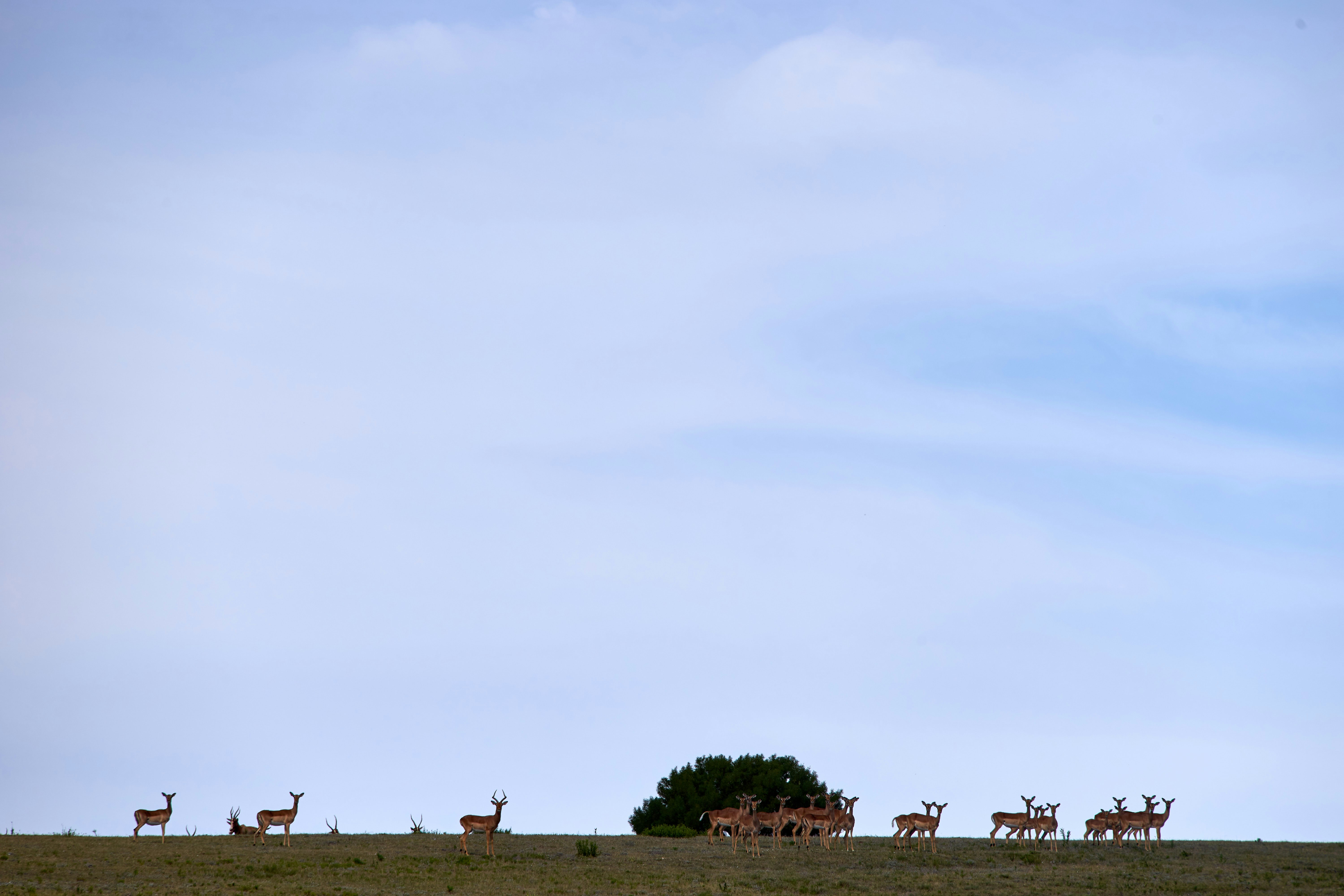 Containers in Antelope, MT