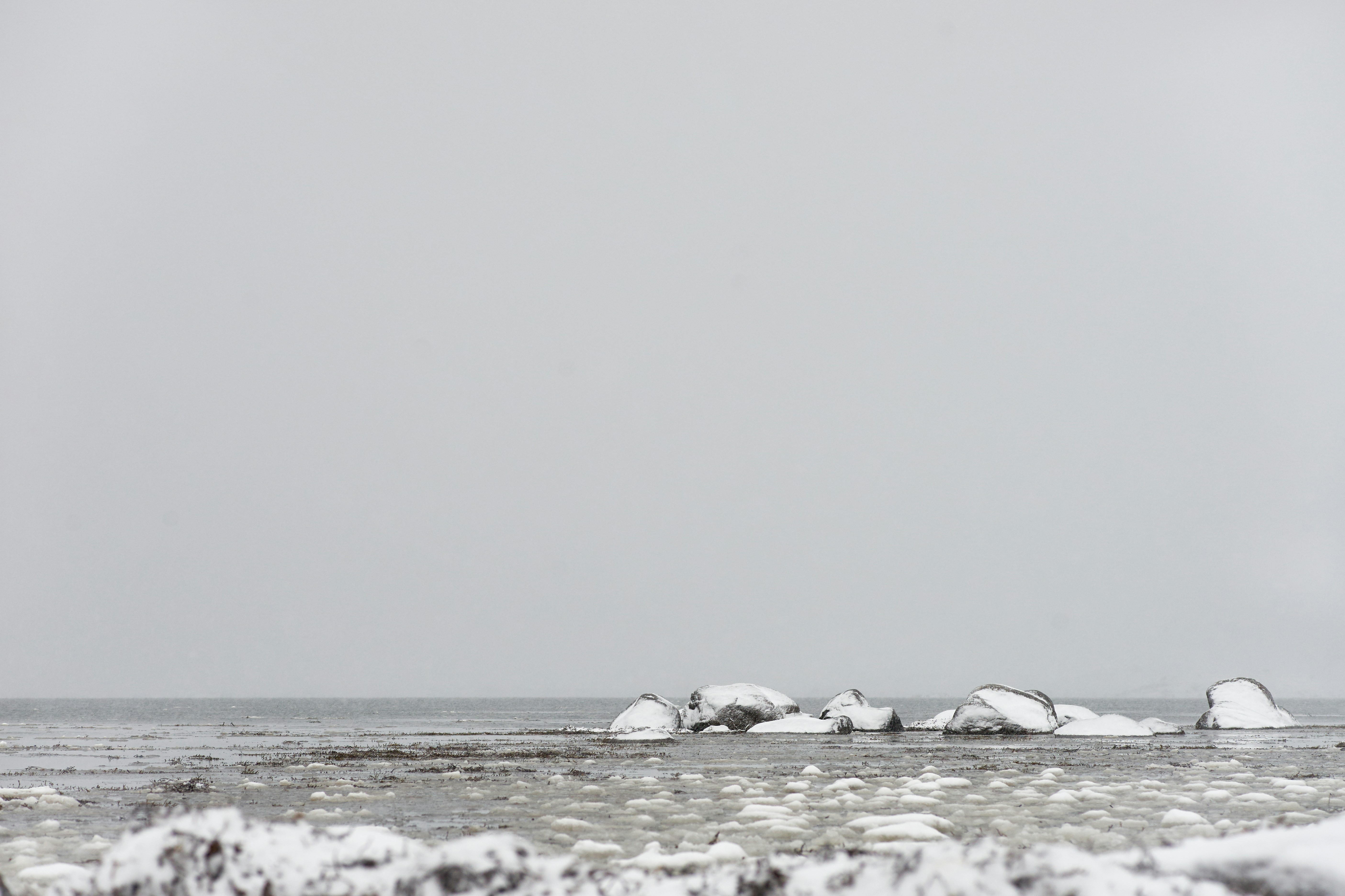 Photo by wolfgang_hasselmann