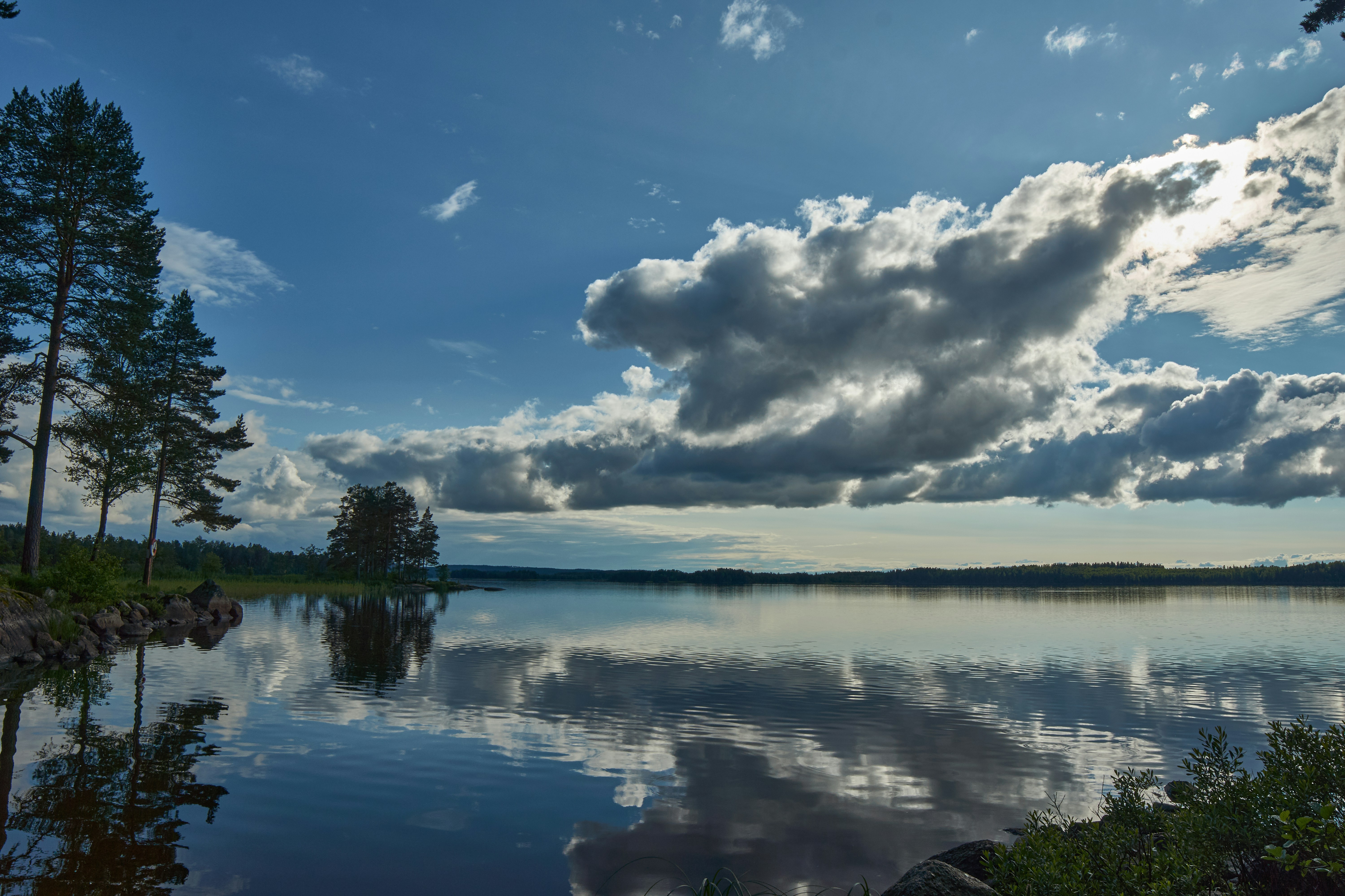 Photo by wolfgang_hasselmann