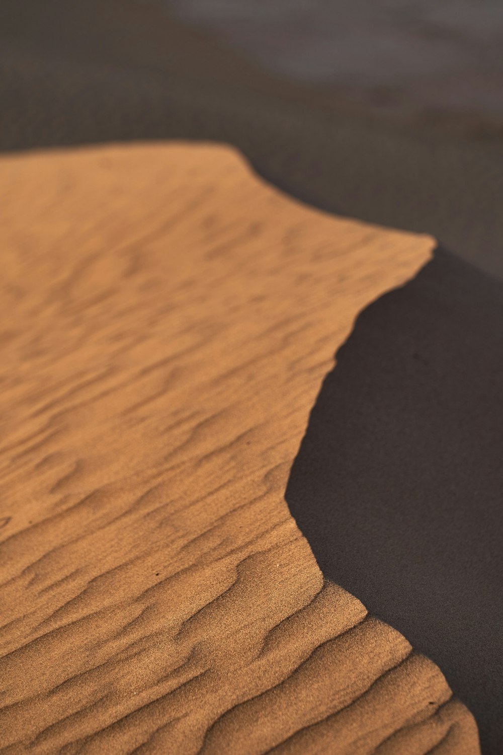 shadow of person on brown sand during daytime