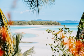 A sunny, tropical beach scene with a clear blue sky and vibrant blue waters. Lush green foliage frames the foreground, with palm fronds adding to the exotic feel. A sandy beach extends into the distance, dotted with a few people enjoying the serene atmosphere. A small boat is visible near the shore, emphasizing a sense of leisure.