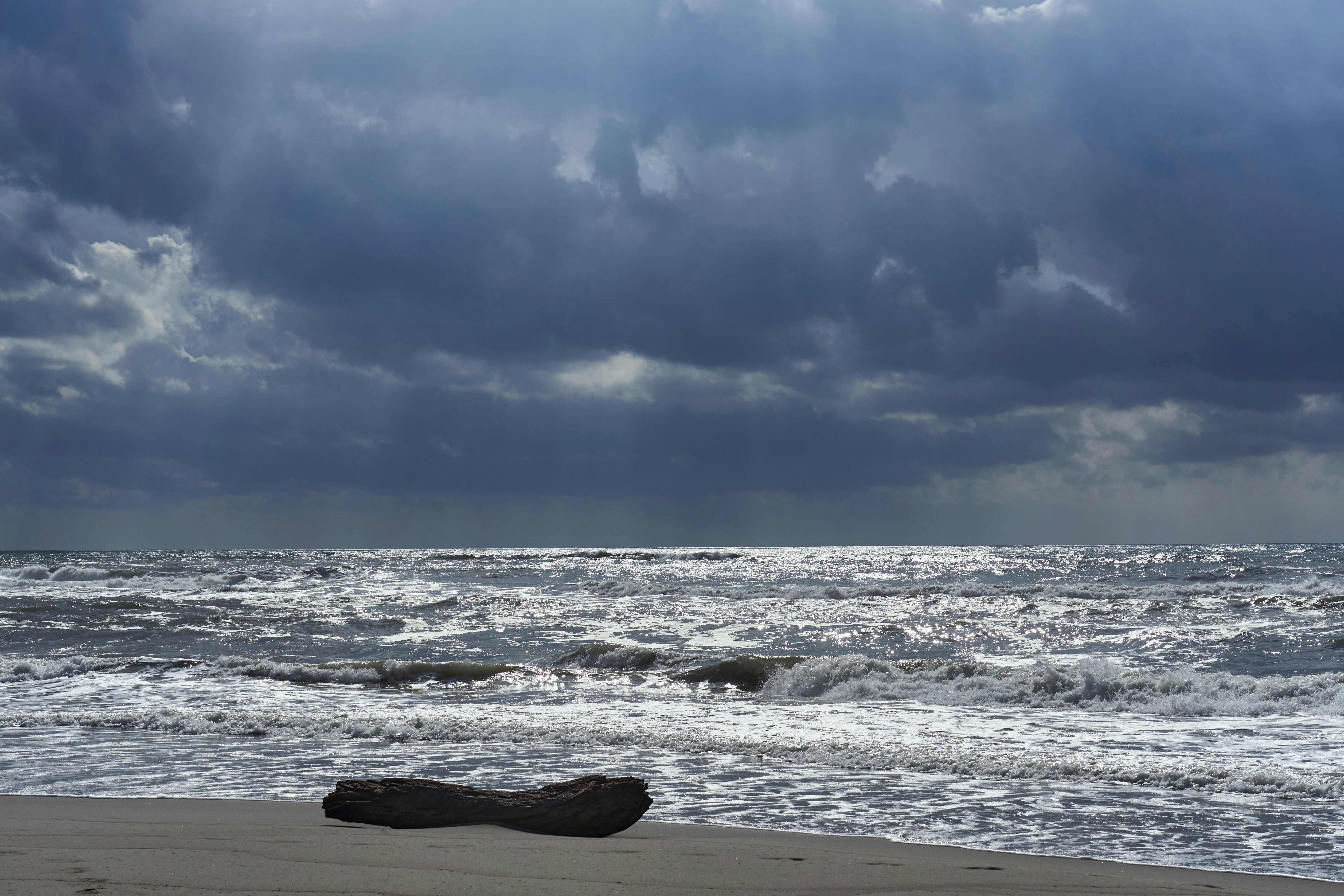 Photo by wolfgang_hasselmann