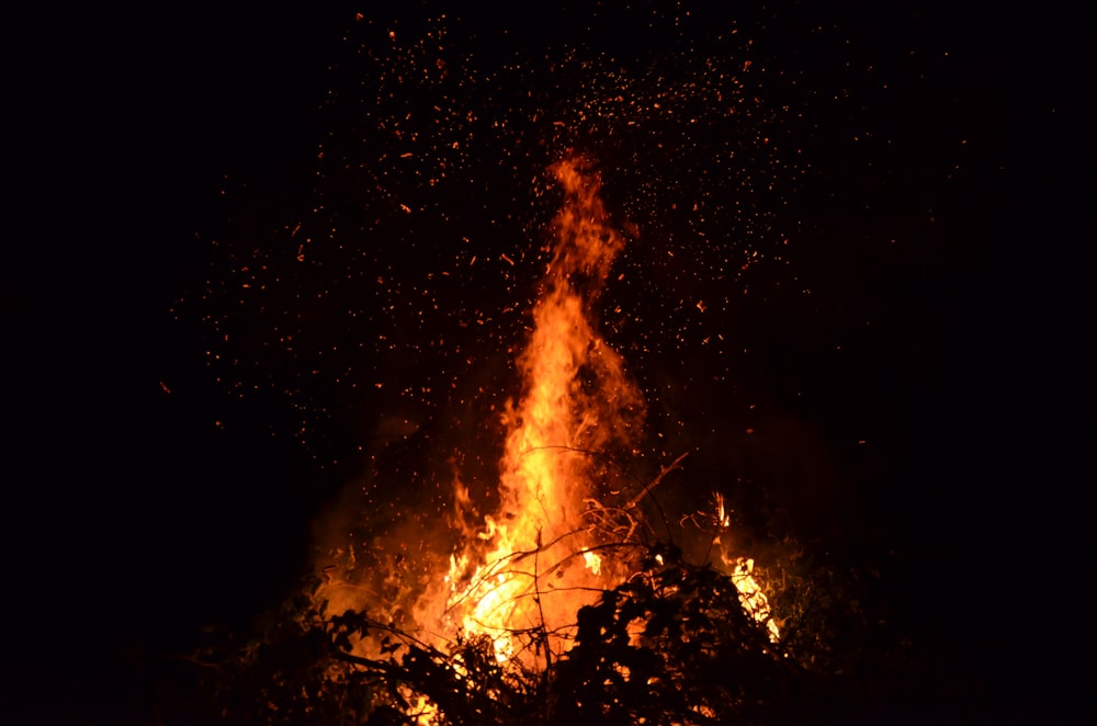 fire in the middle of the woods during night time