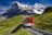 A red and white train travels on a railway track through a picturesque mountain landscape. Snow-covered peaks rise majestically in the background, while lush green hills with scattered trees and a dirt path can be seen in the foreground. The sky is clear and blue, enhancing the natural beauty of the scene.