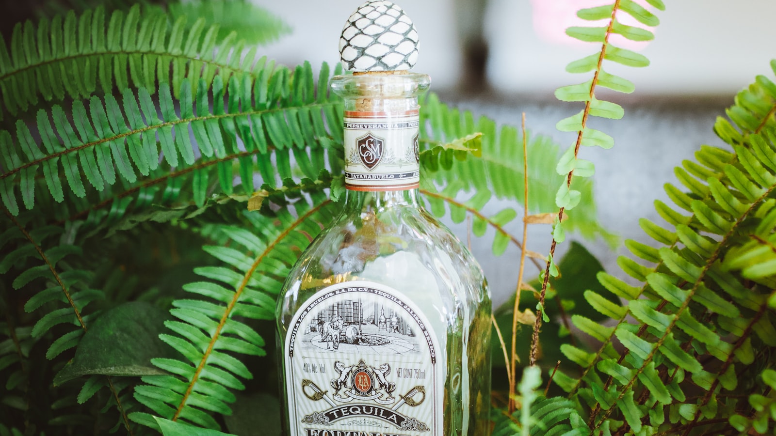 Los Angeles Tequila Festival Returns for a Spirited Celebration on Saturday, September 9th