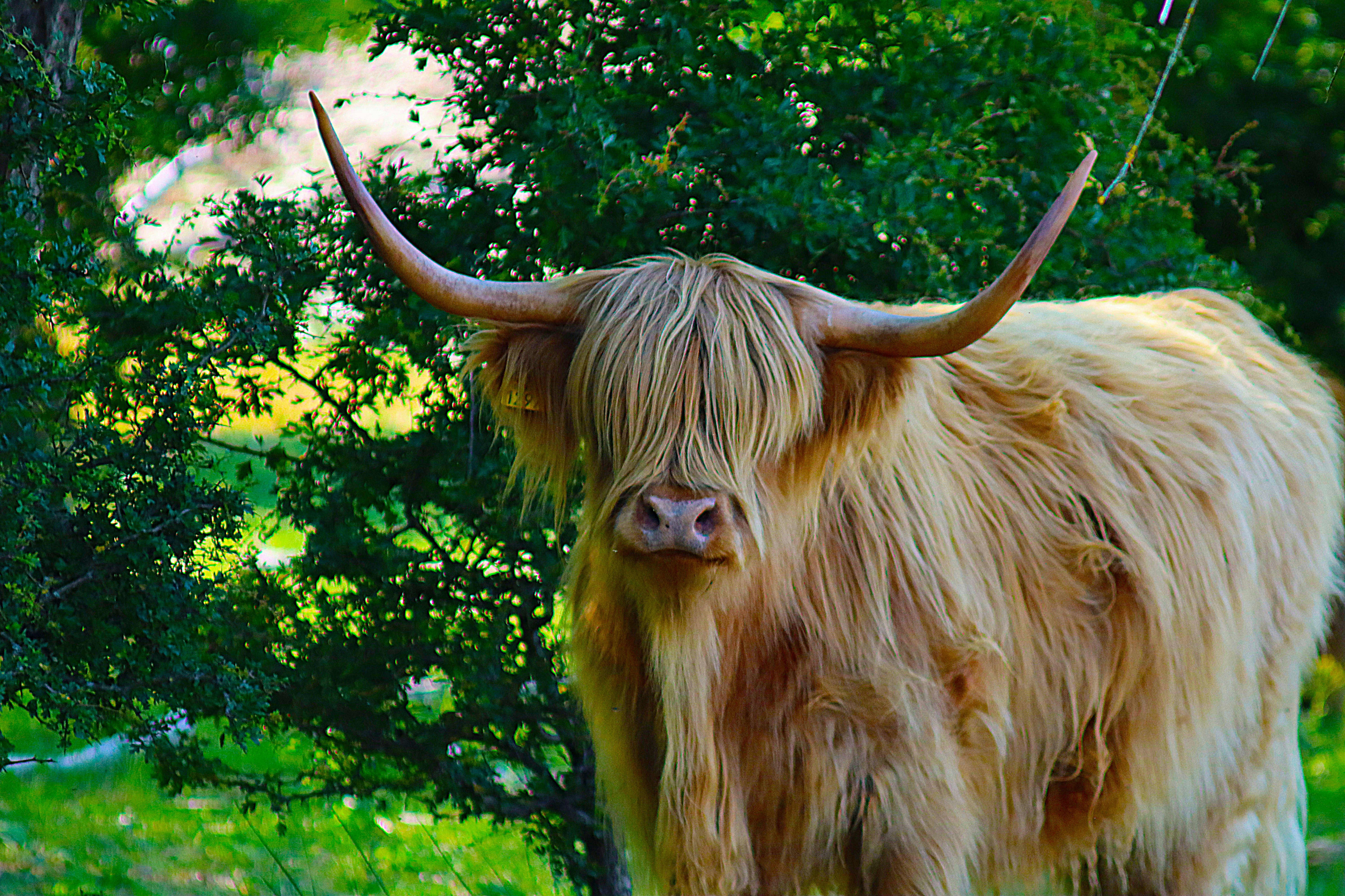 Photo by rudolf_peter_bakker