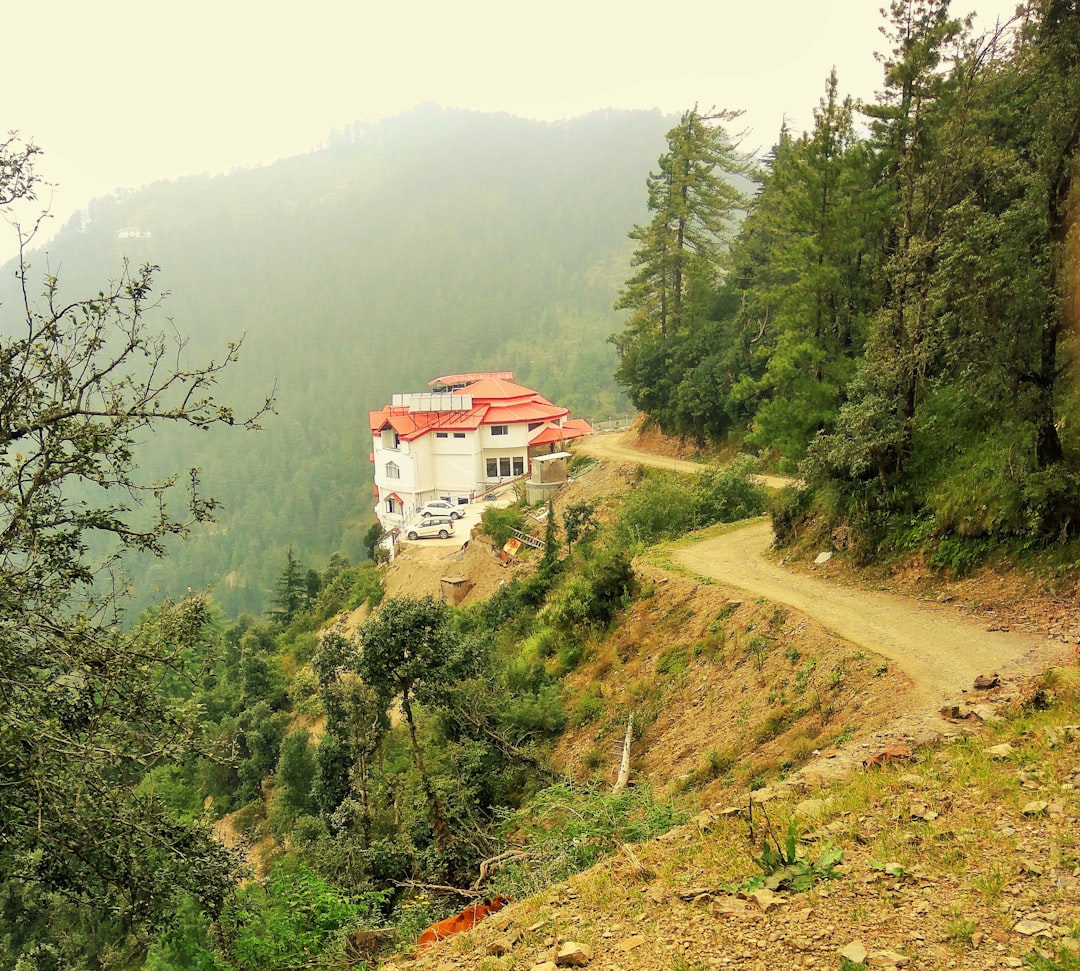 Travel Tips and Stories of Chail in India