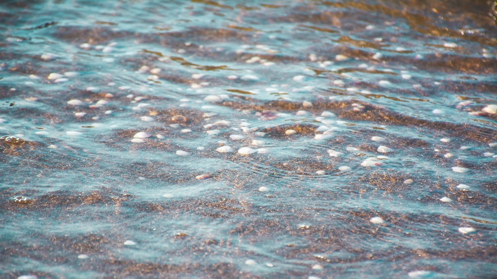 water splash on body of water