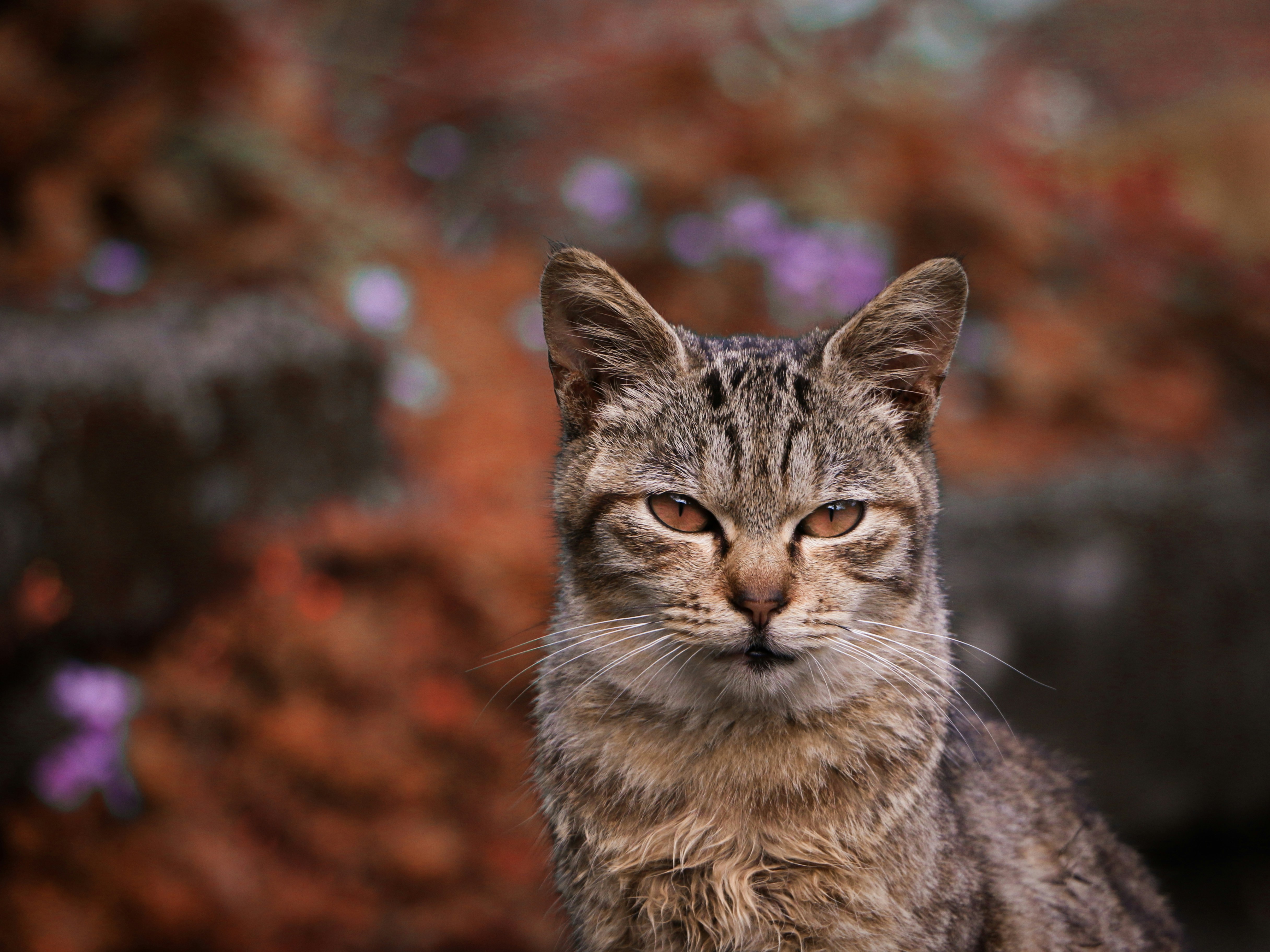 Photo by benjamin_1017