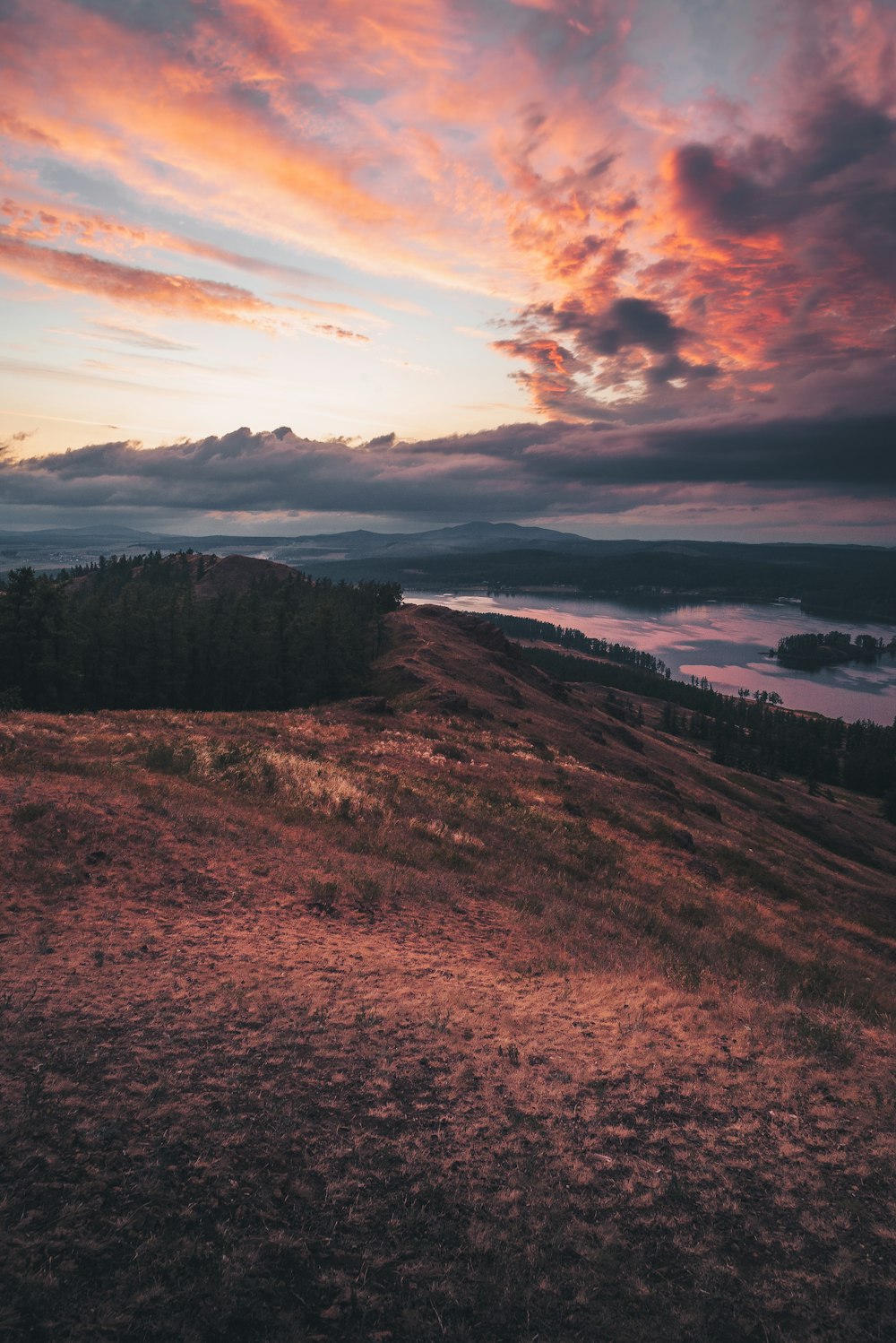 brown grass field near body of water during sunset