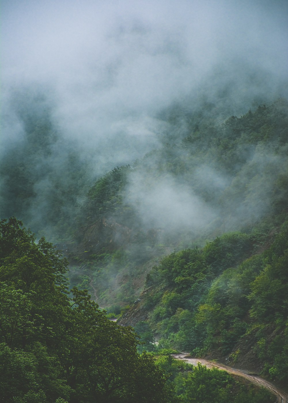 green trees on mountain during daytime