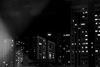 grayscale photo of high rise building