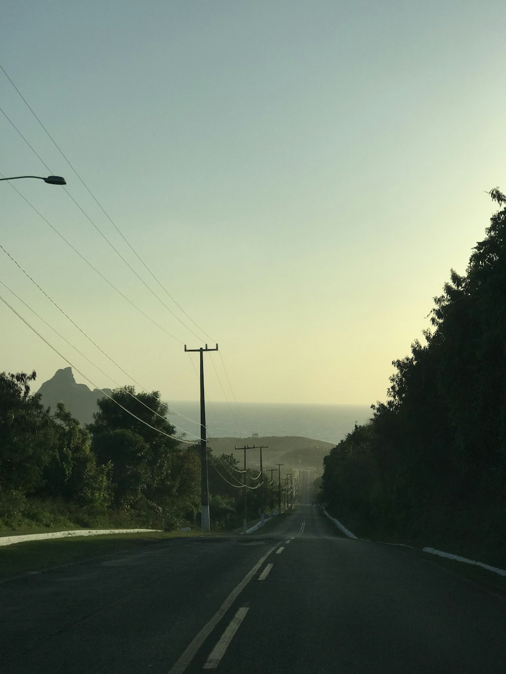 gray concrete road between green trees during daytime