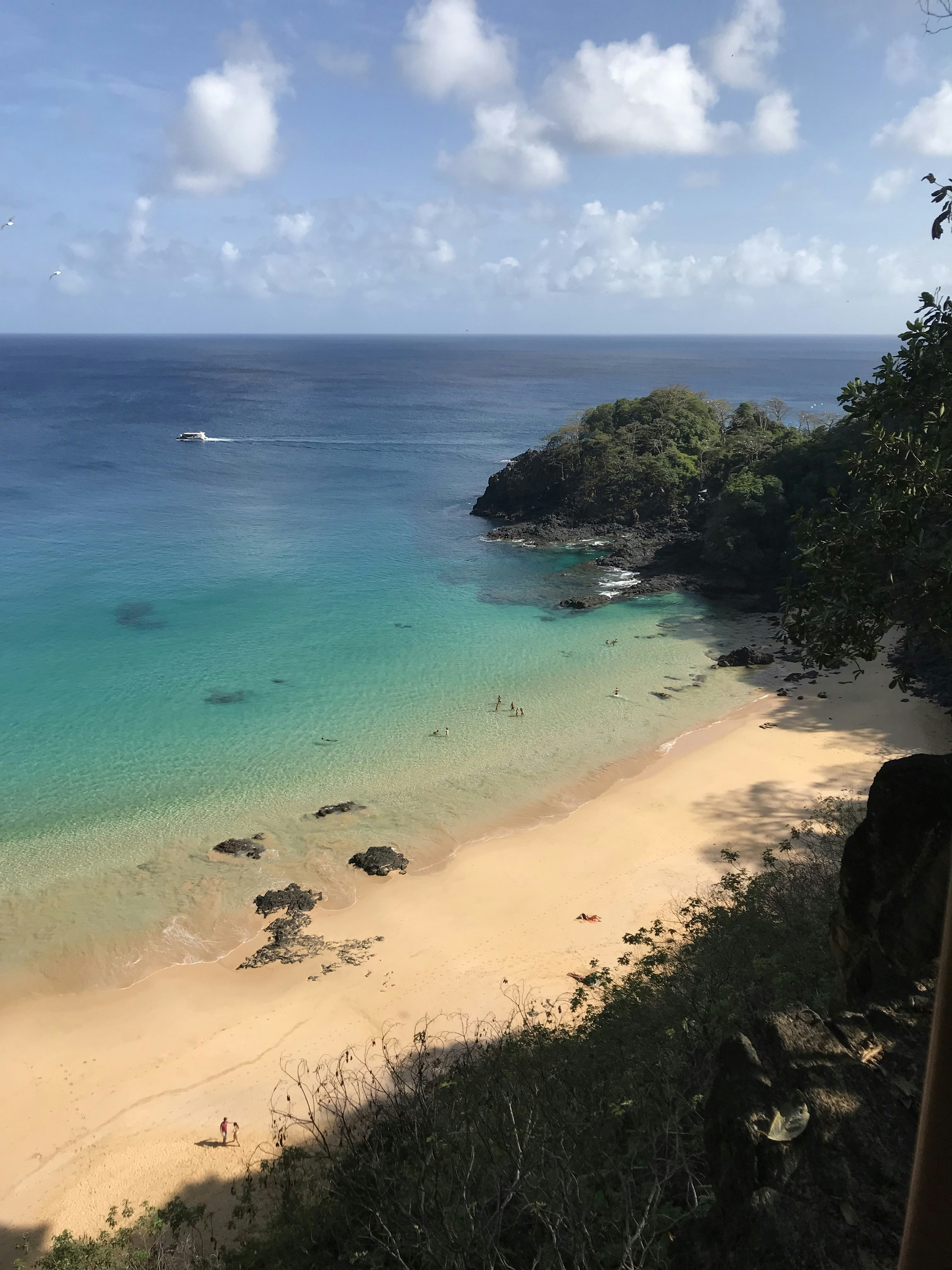 people on beach during daytime