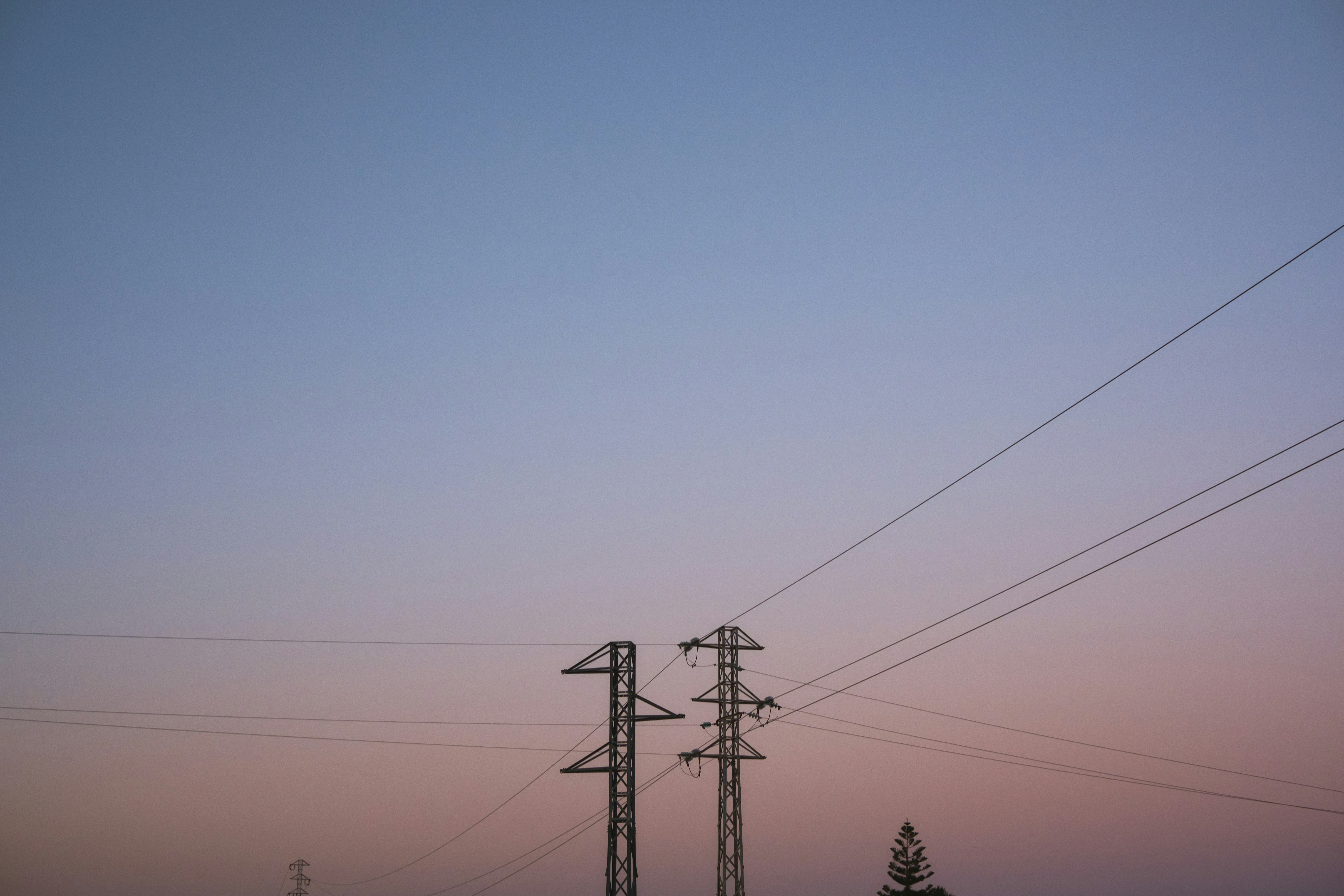 Photo by victor_vector