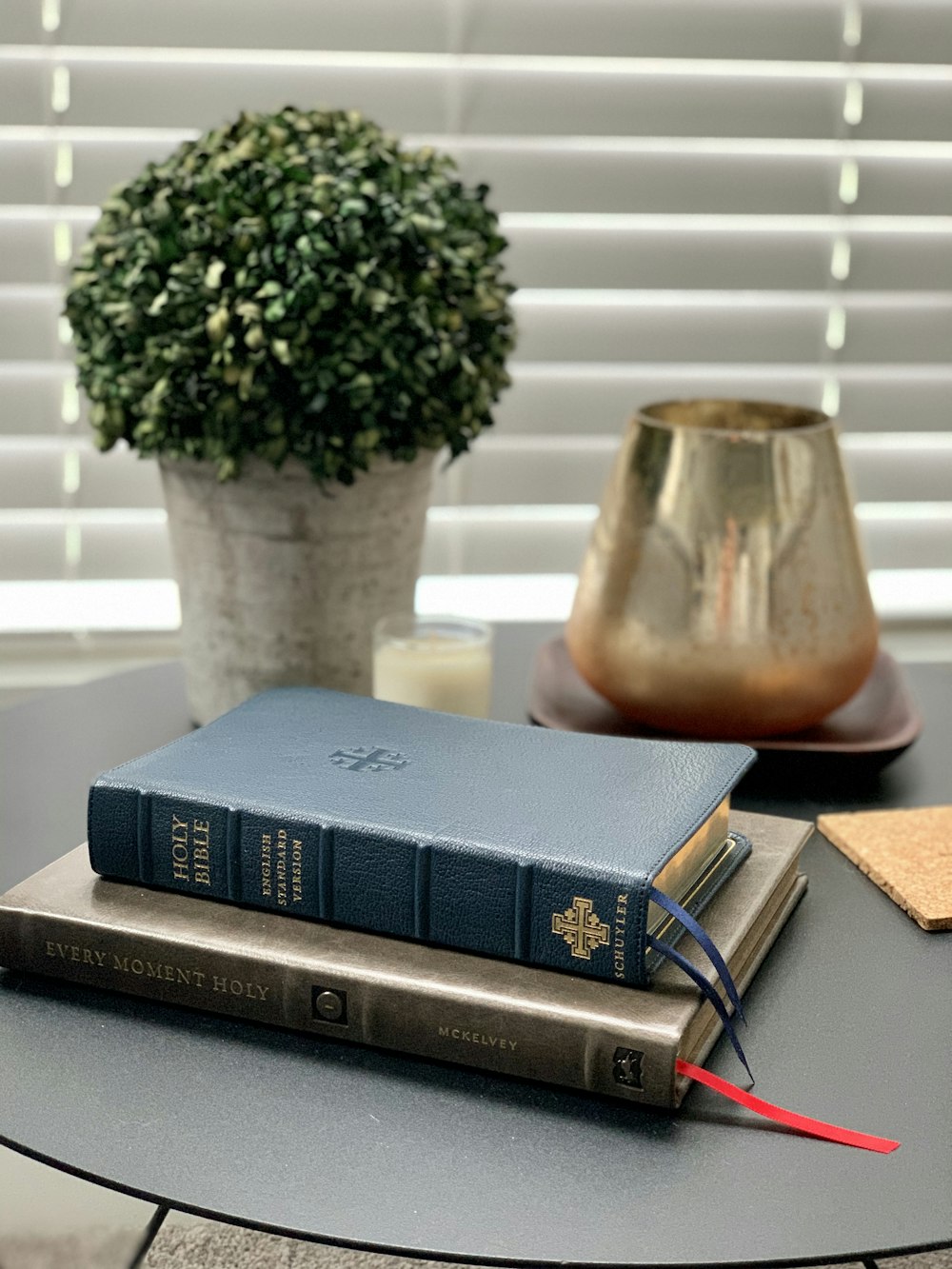 green plant on black book