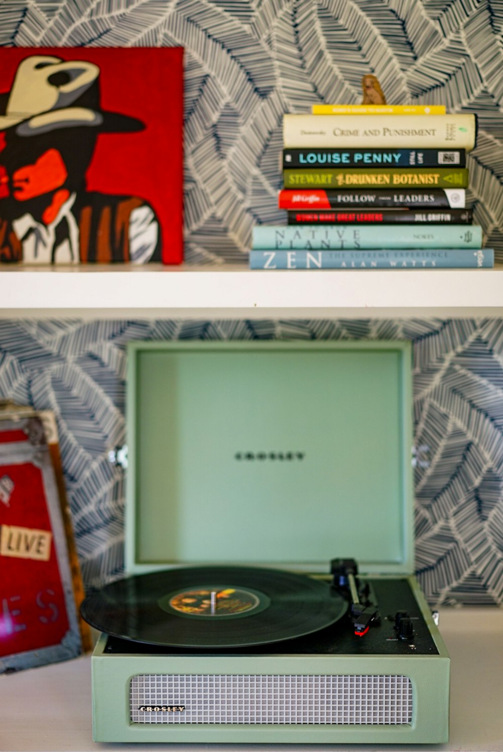 black vinyl record on white shelf