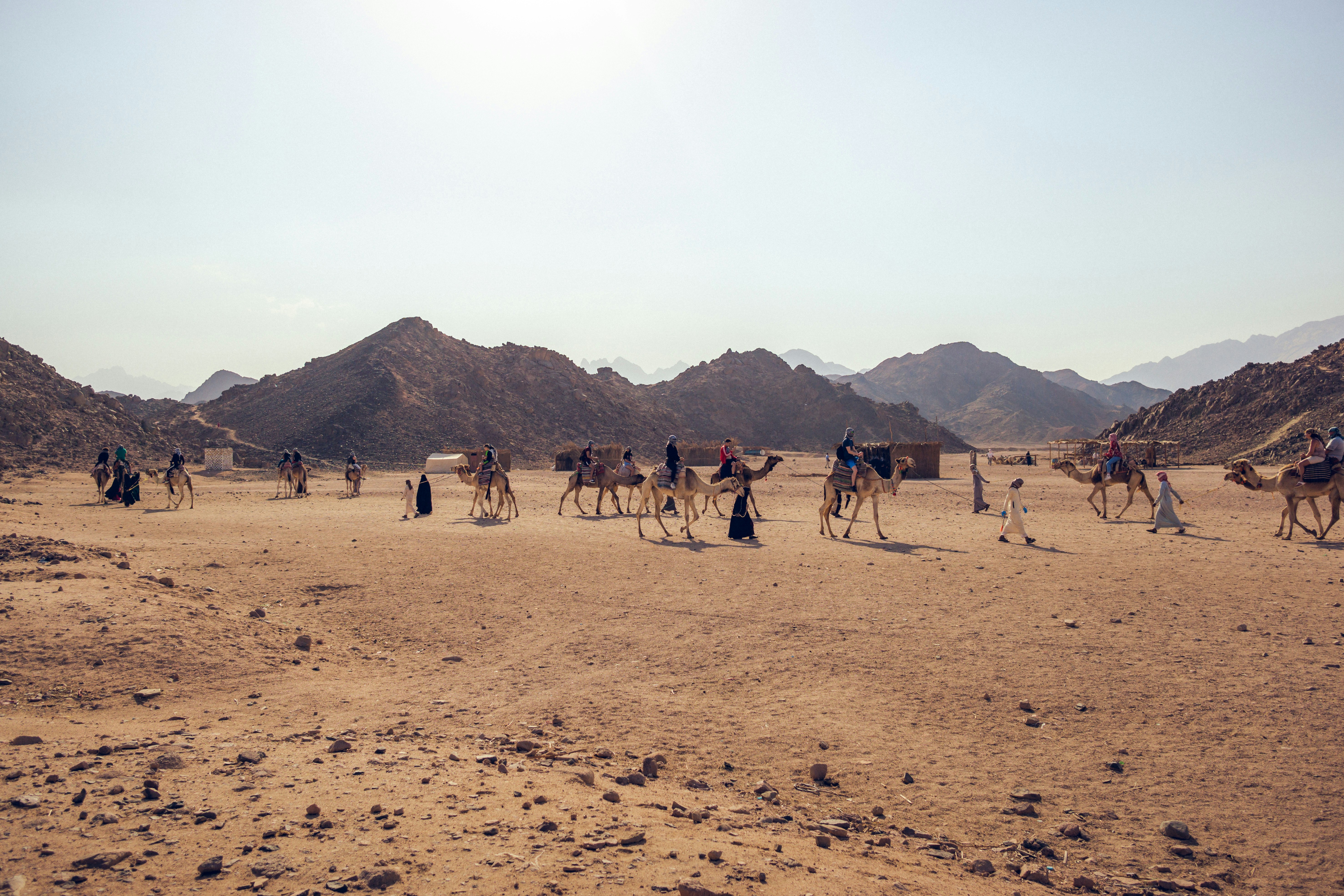 People on brown sand during daytime