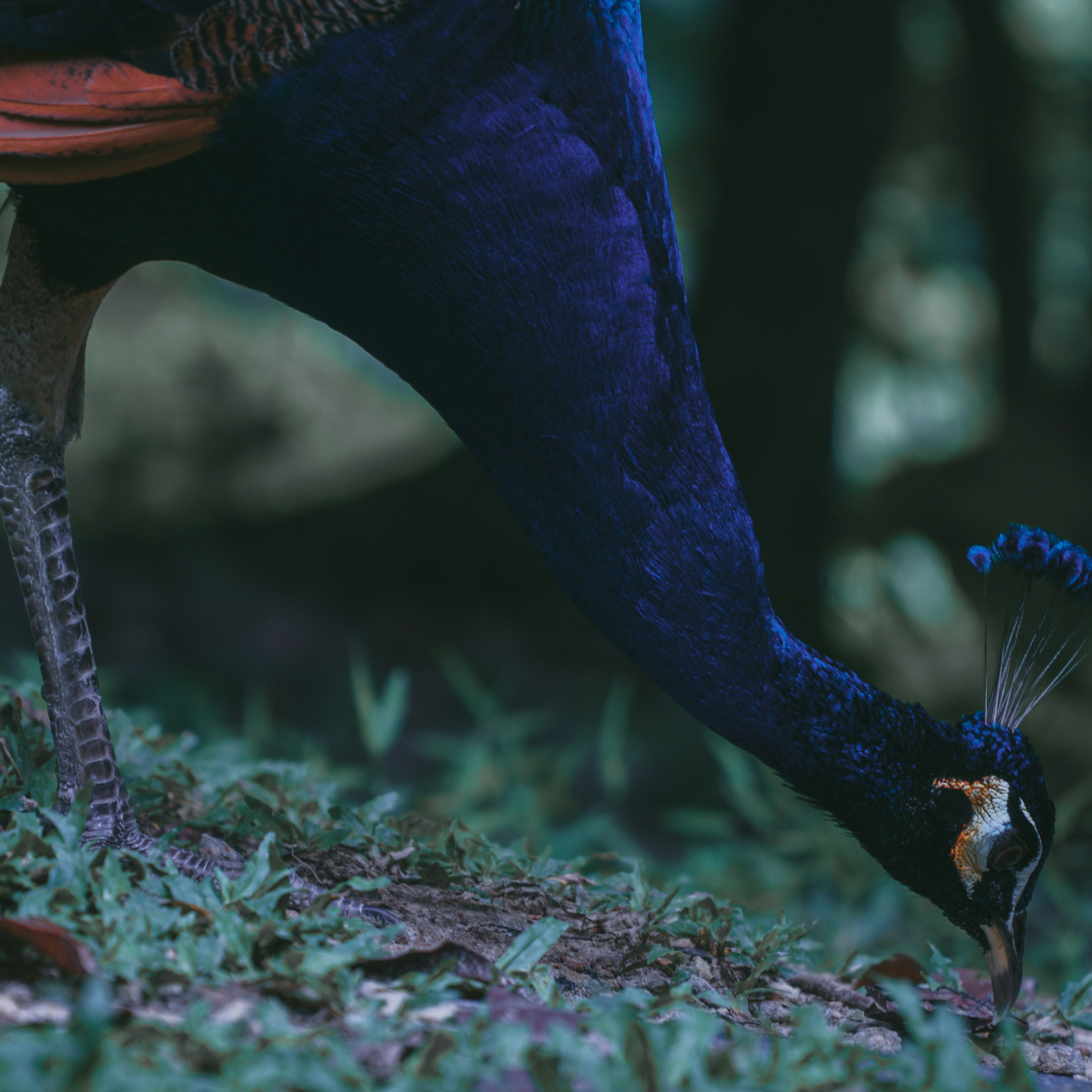 Photo by fauzanazhima