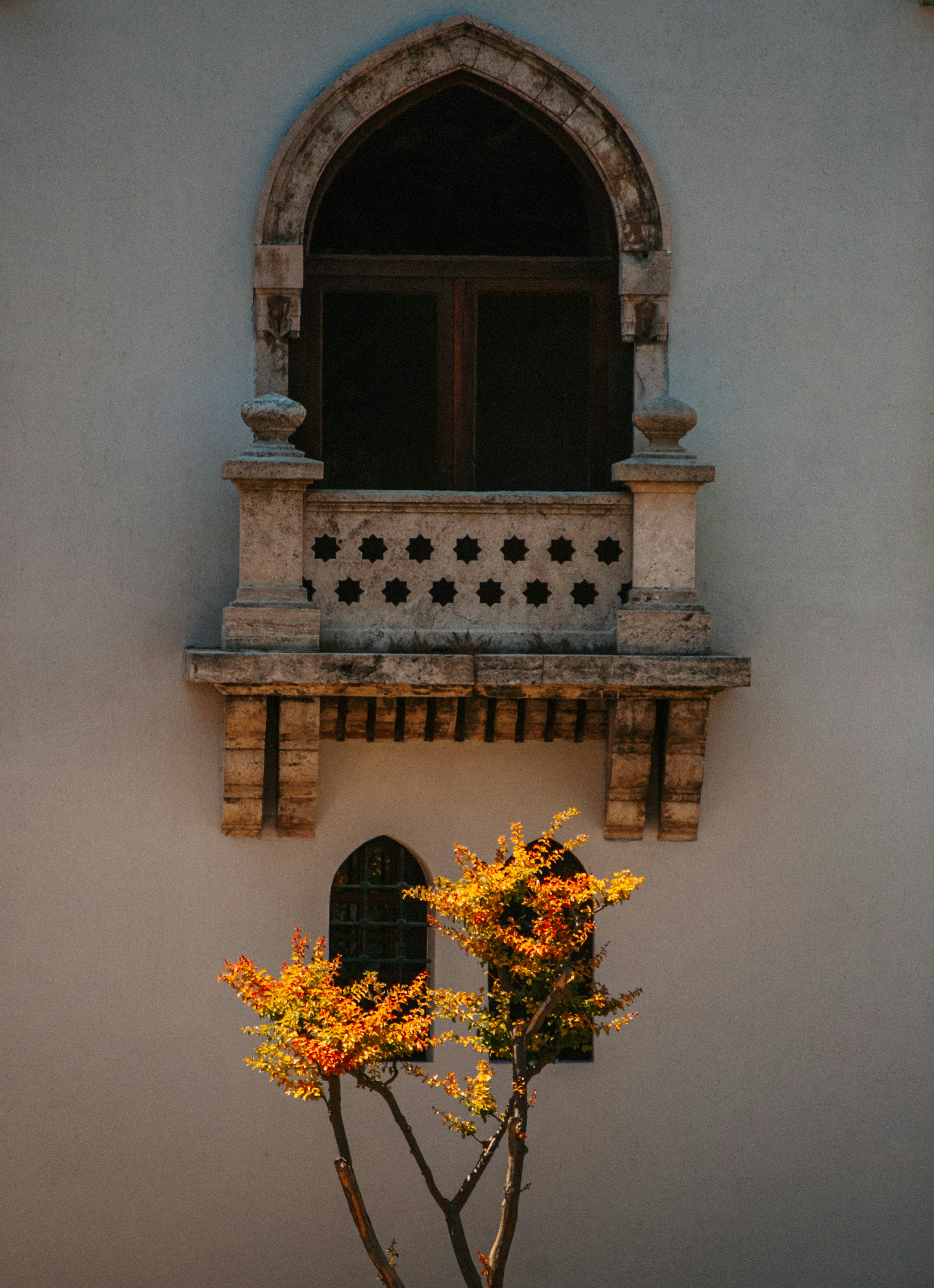 Photo by neyn