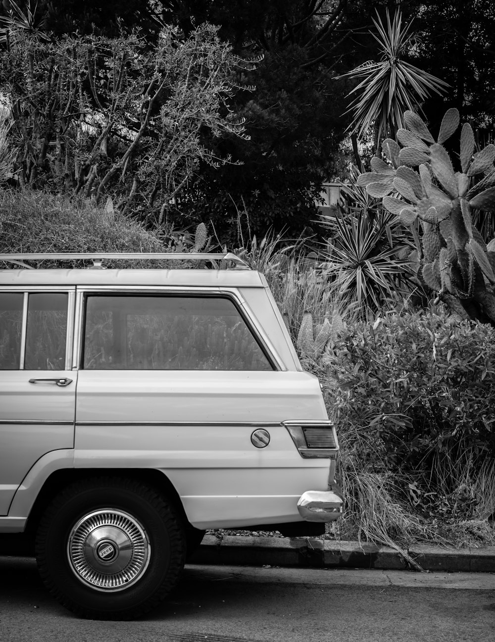 grayscale photo of suv in forest