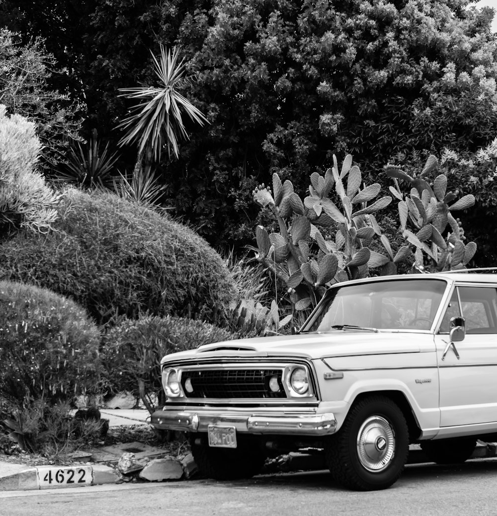 grayscale photo of chevrolet single cab pickup truck