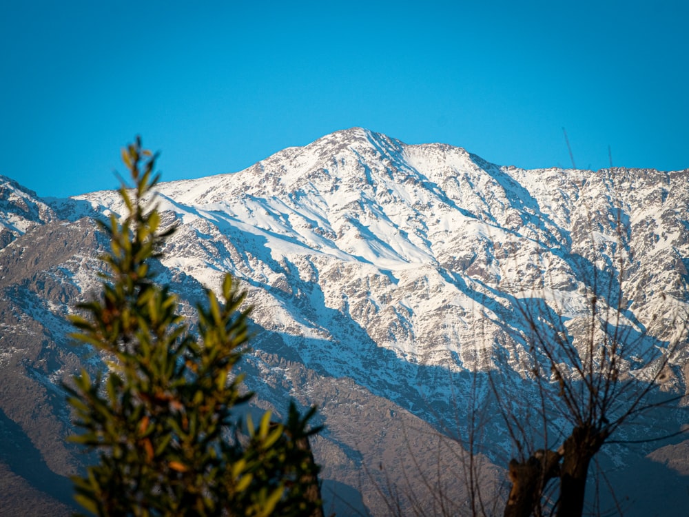 montagna innevata durante il giorno