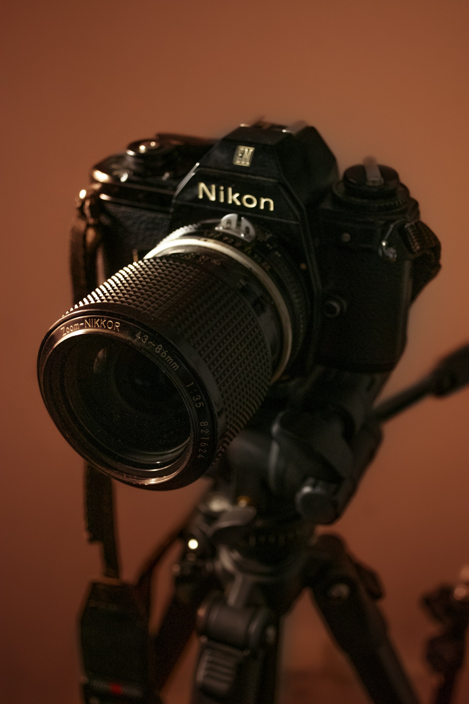 Nikon D7200 + Nikon AF-S DX Nikkor 18-55mm F3.5-5.6G VR sample photo