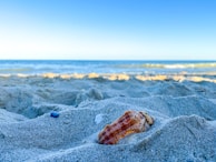 A serene beach scene with earrings displayed against soft sand and seashells.