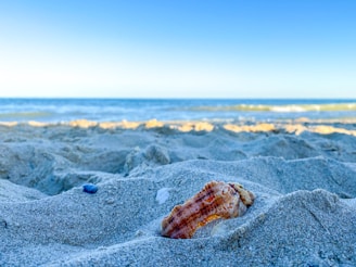 A serene beach scene with earrings displayed against soft sand and seashells.