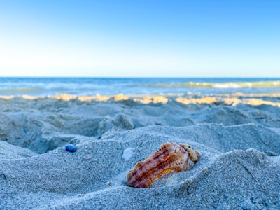 A serene beach scene with pearls scattered on the sand.