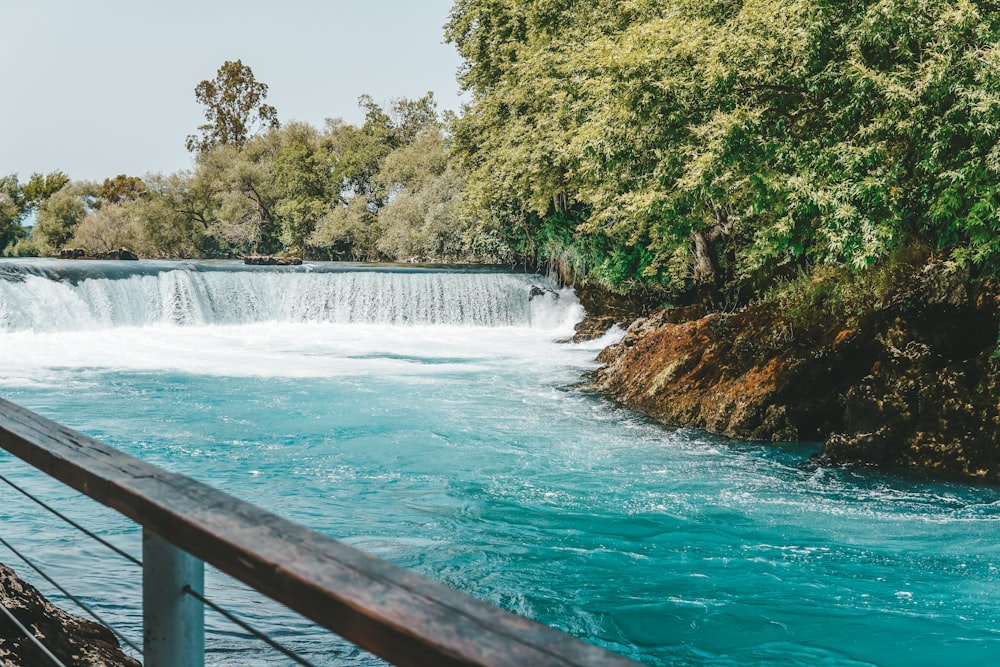 El agua cae en medio de los árboles verdes